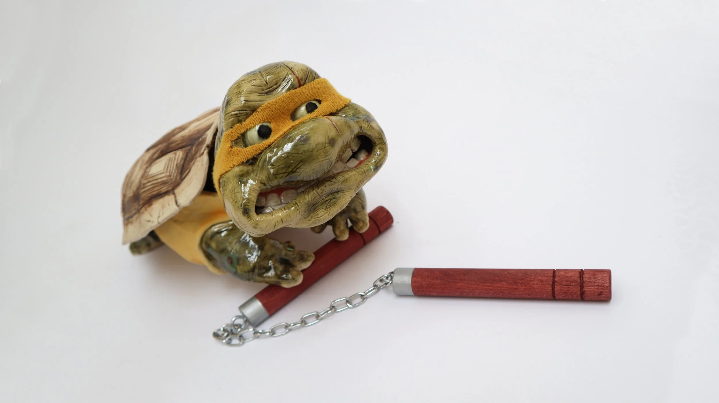 TMNT IRL 7.jpg