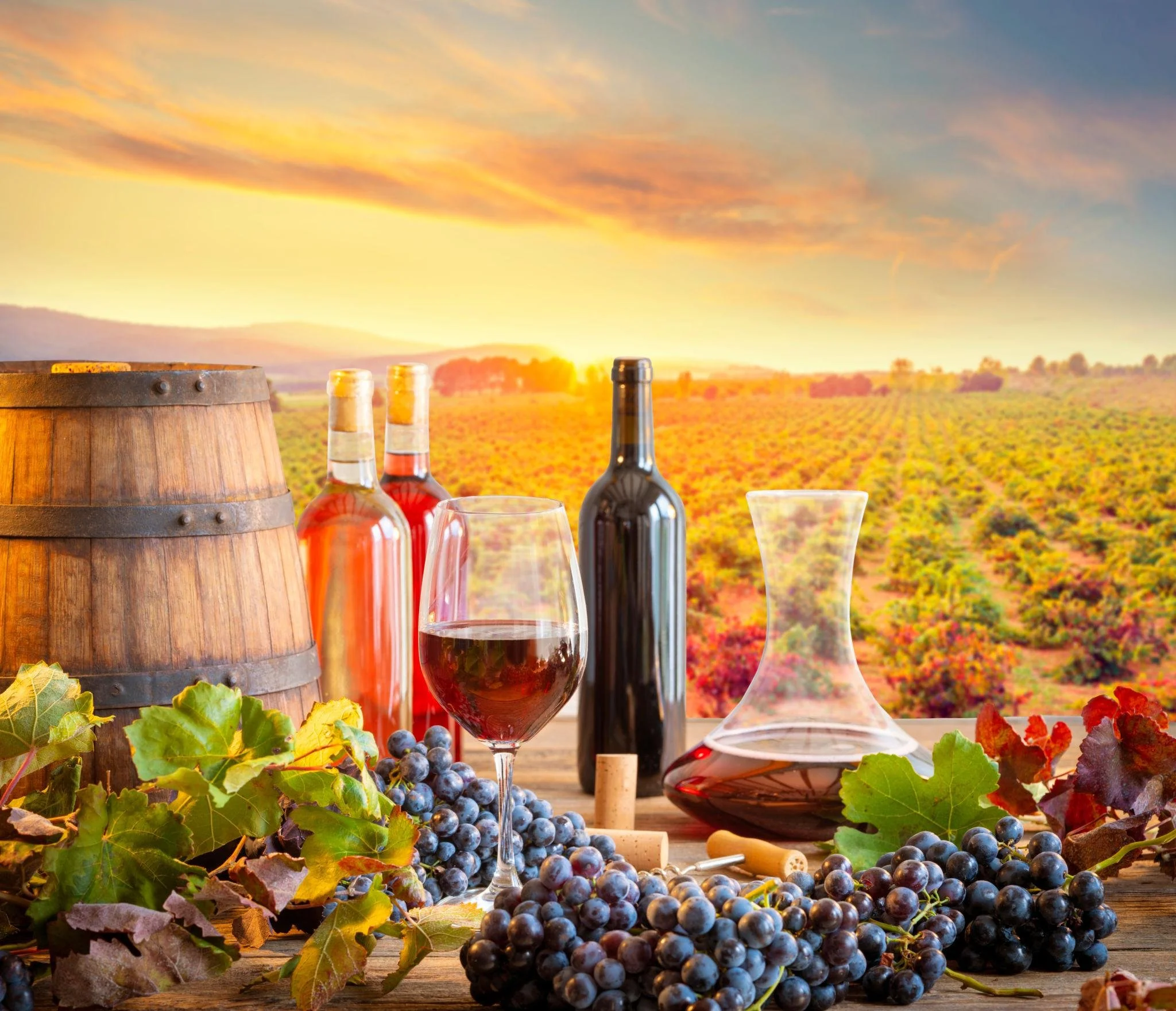Understanding Wine Varieties: A Guide to Flavor, Aroma, and Character