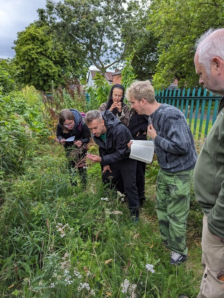 Jesse and a group of participants try to identify some wildflowers using field guides