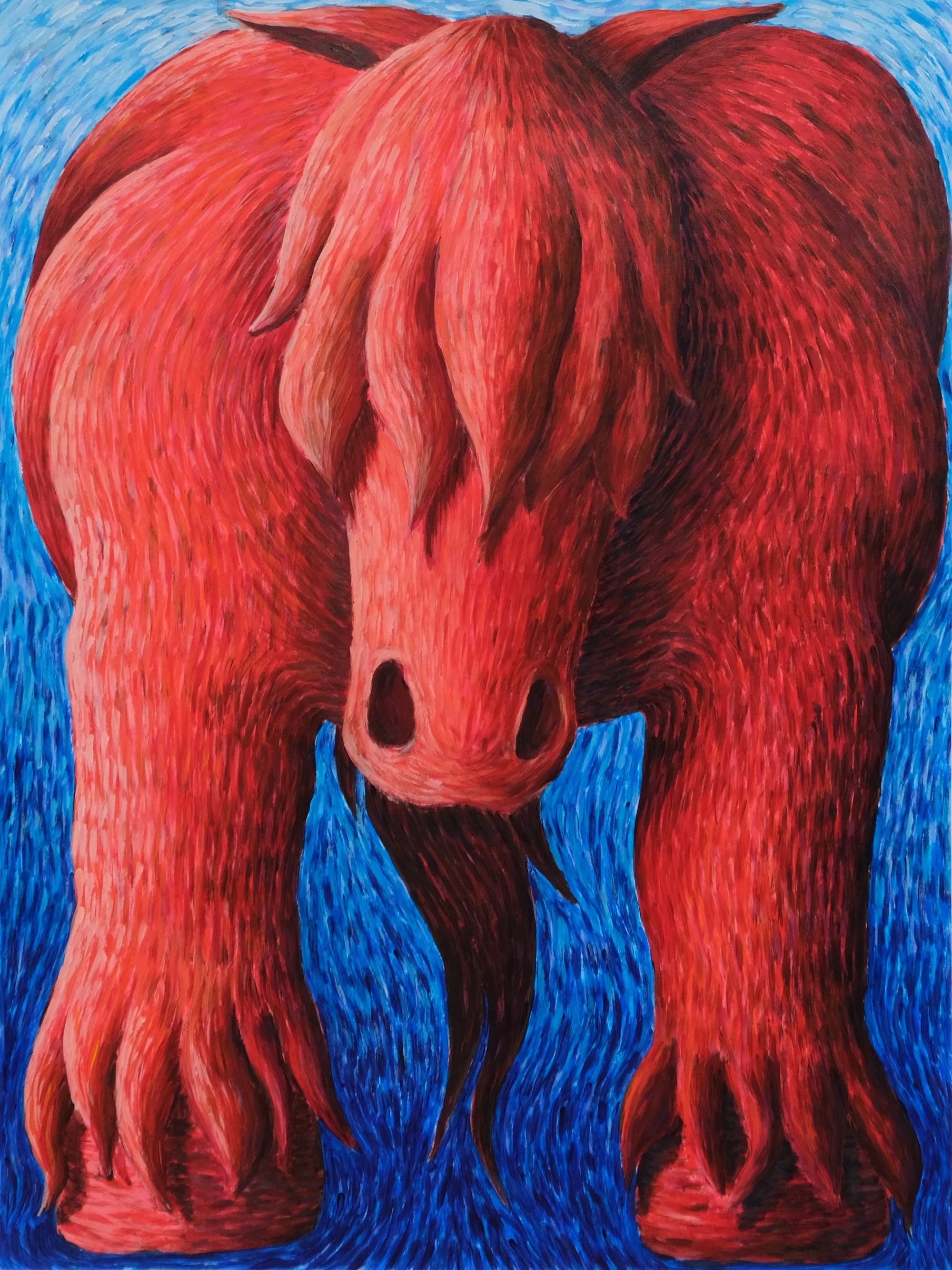 HORSEFRONT-2.jpg