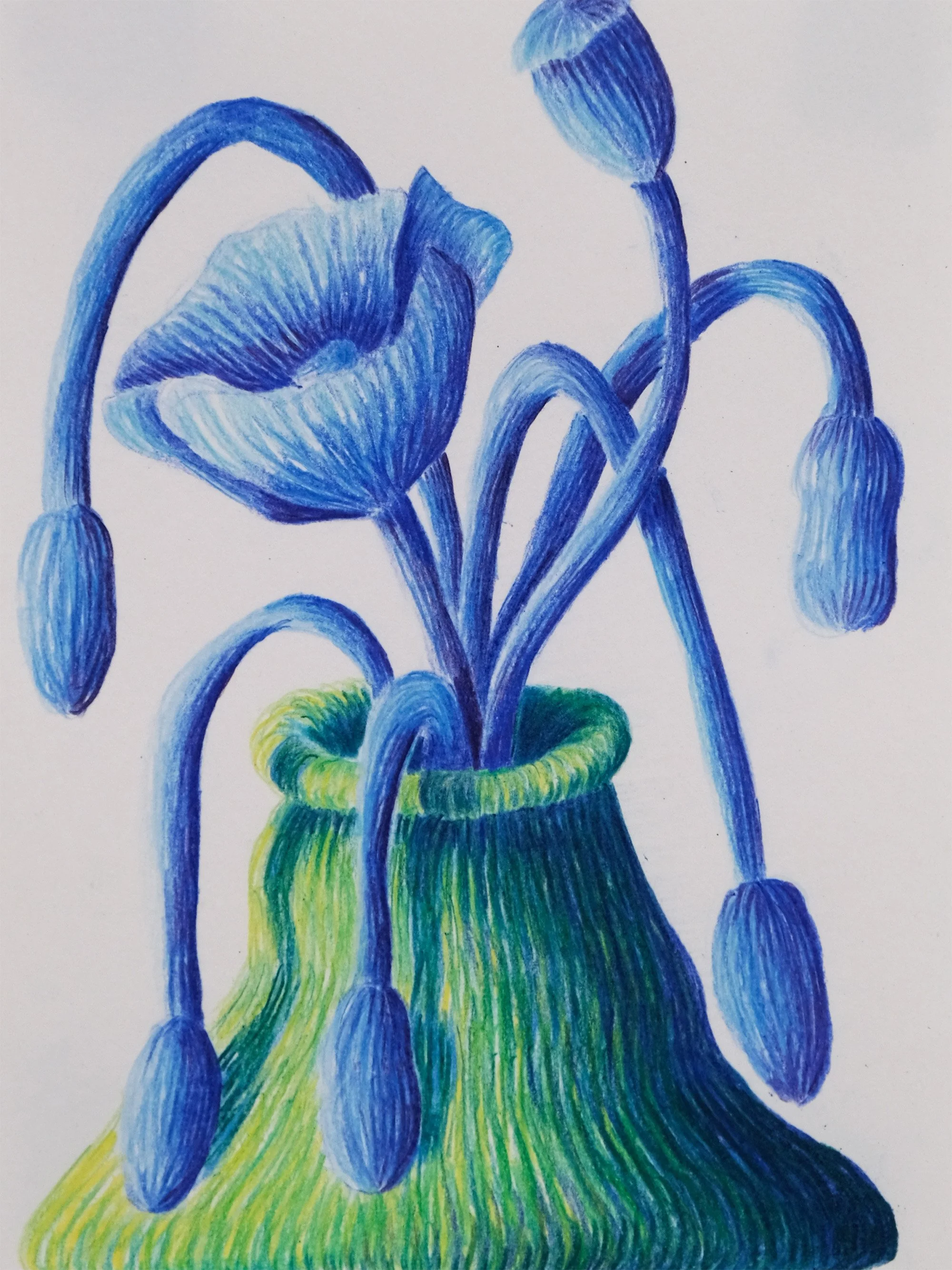 bluepoppies-sad-3.jpg