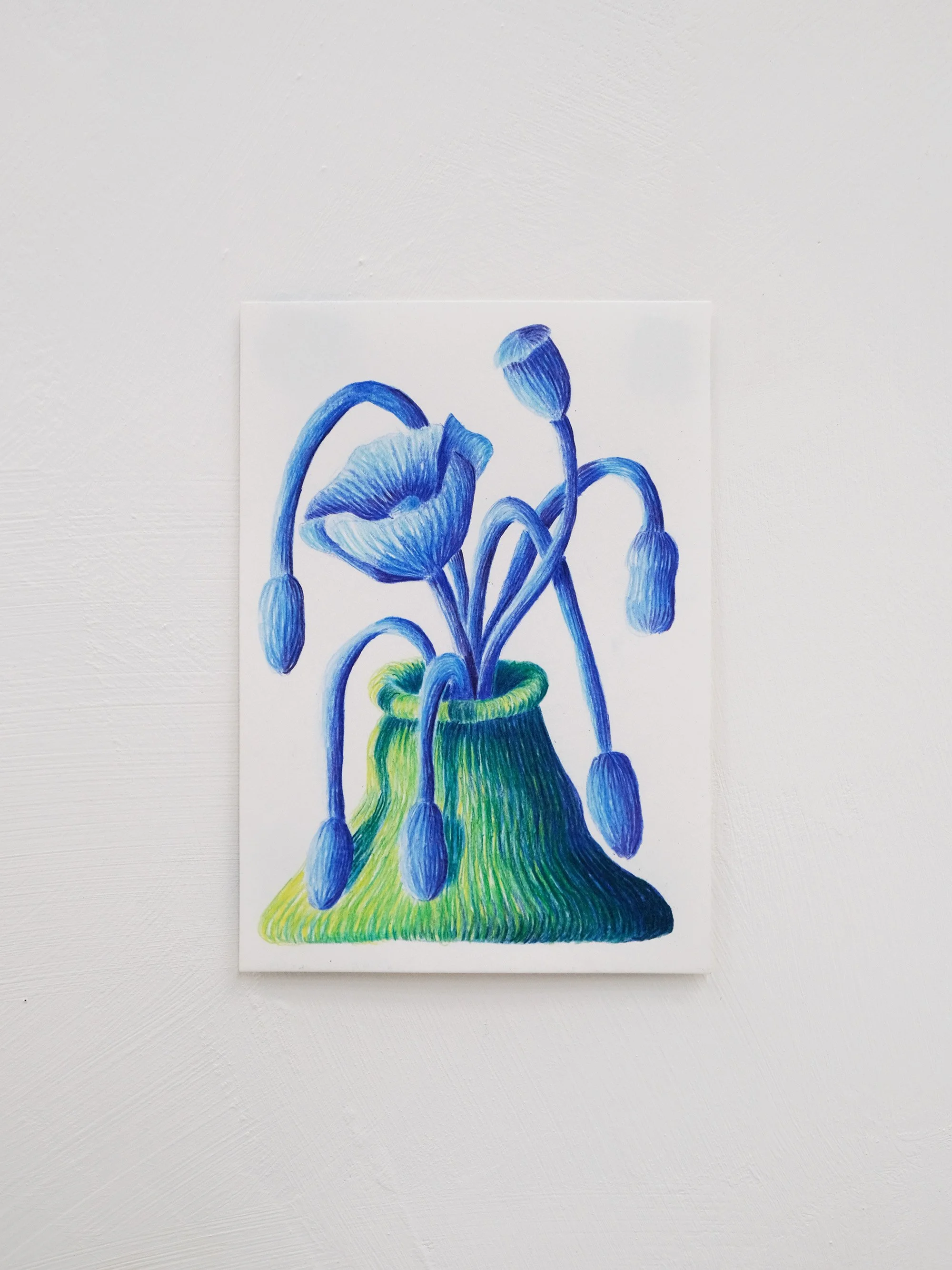 bluepoppies-sad-2.jpg