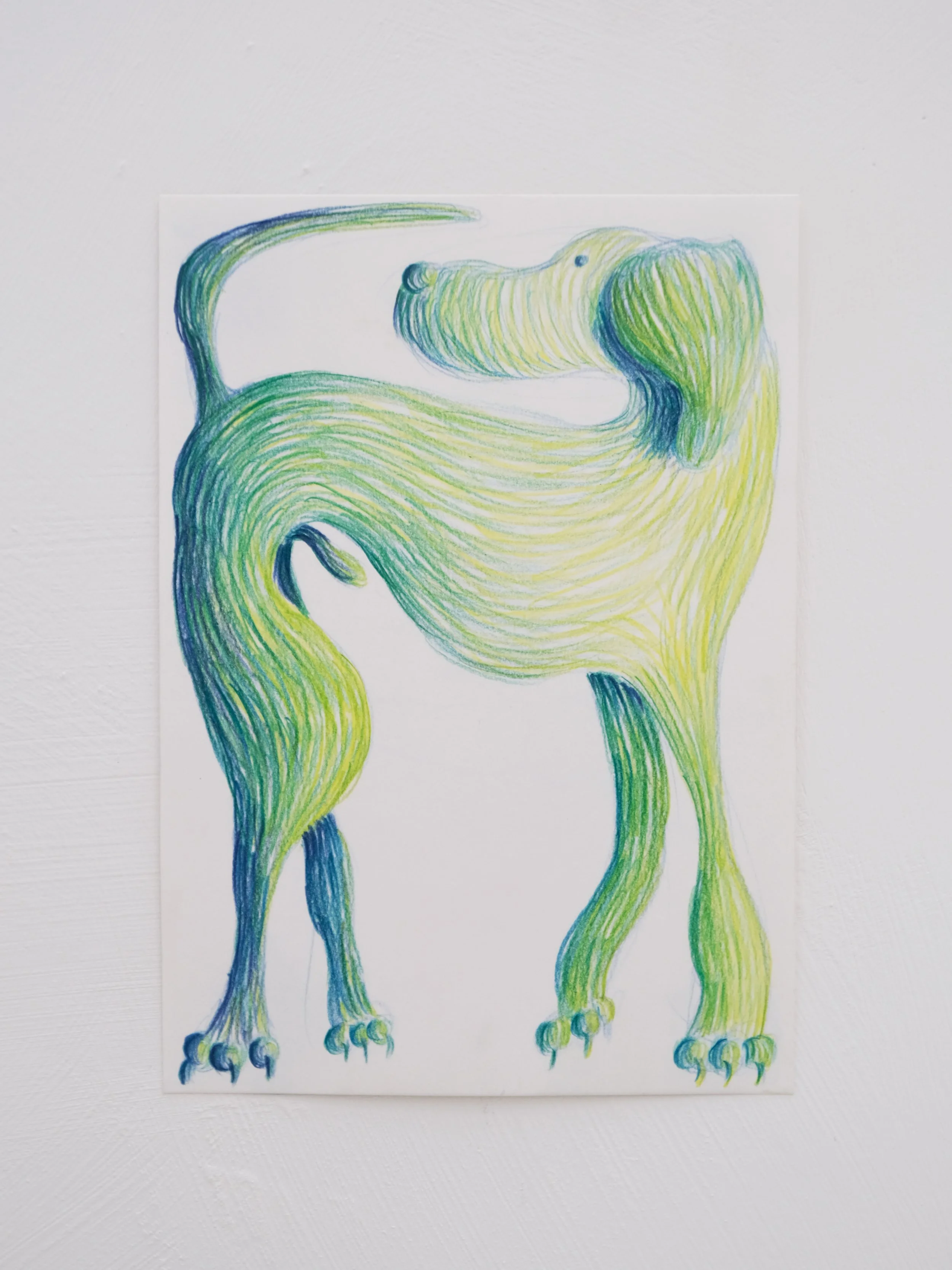Green dog
