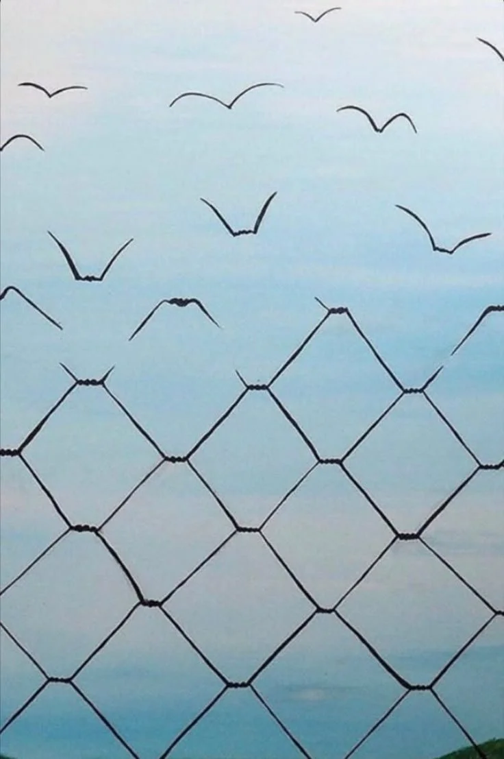 Des oiseaux volent dans un ciel clair, au-dessus d'une barrière ou clôture en fil de fer.