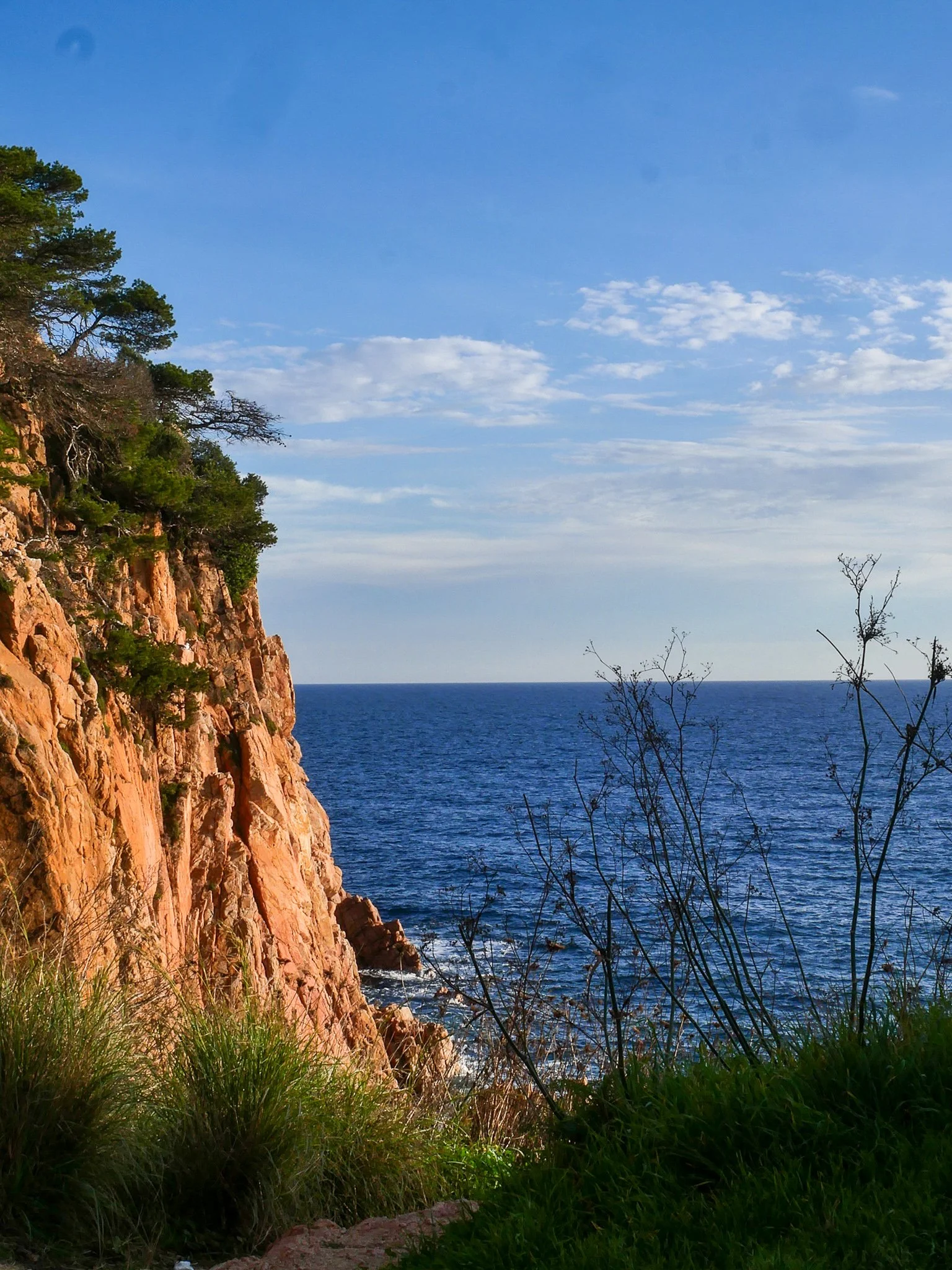 Côte rocheuse bordée d'arbres verts, vue sur la mer sous un ciel bleu clair avec quelques nuages.
