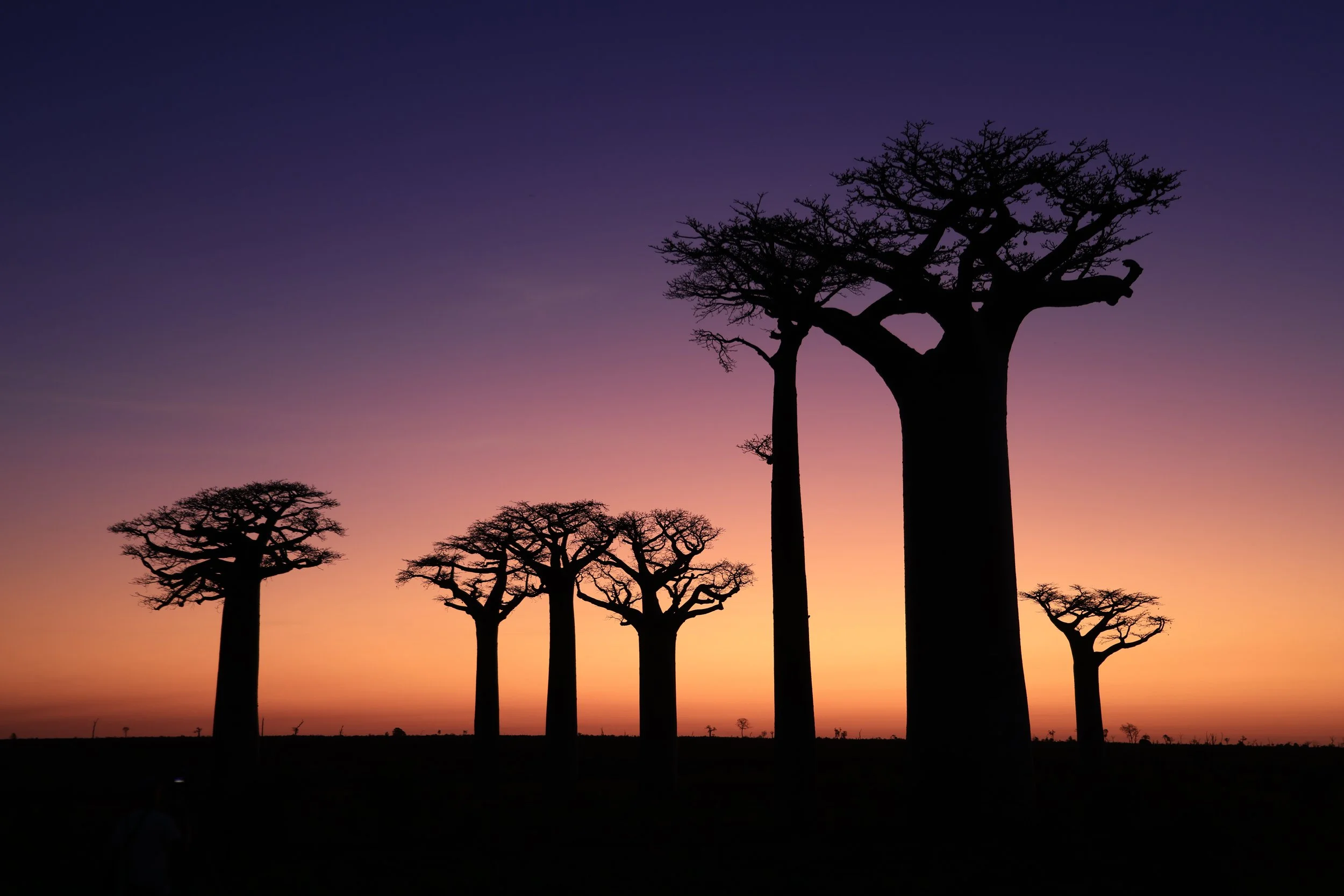 Madagascar