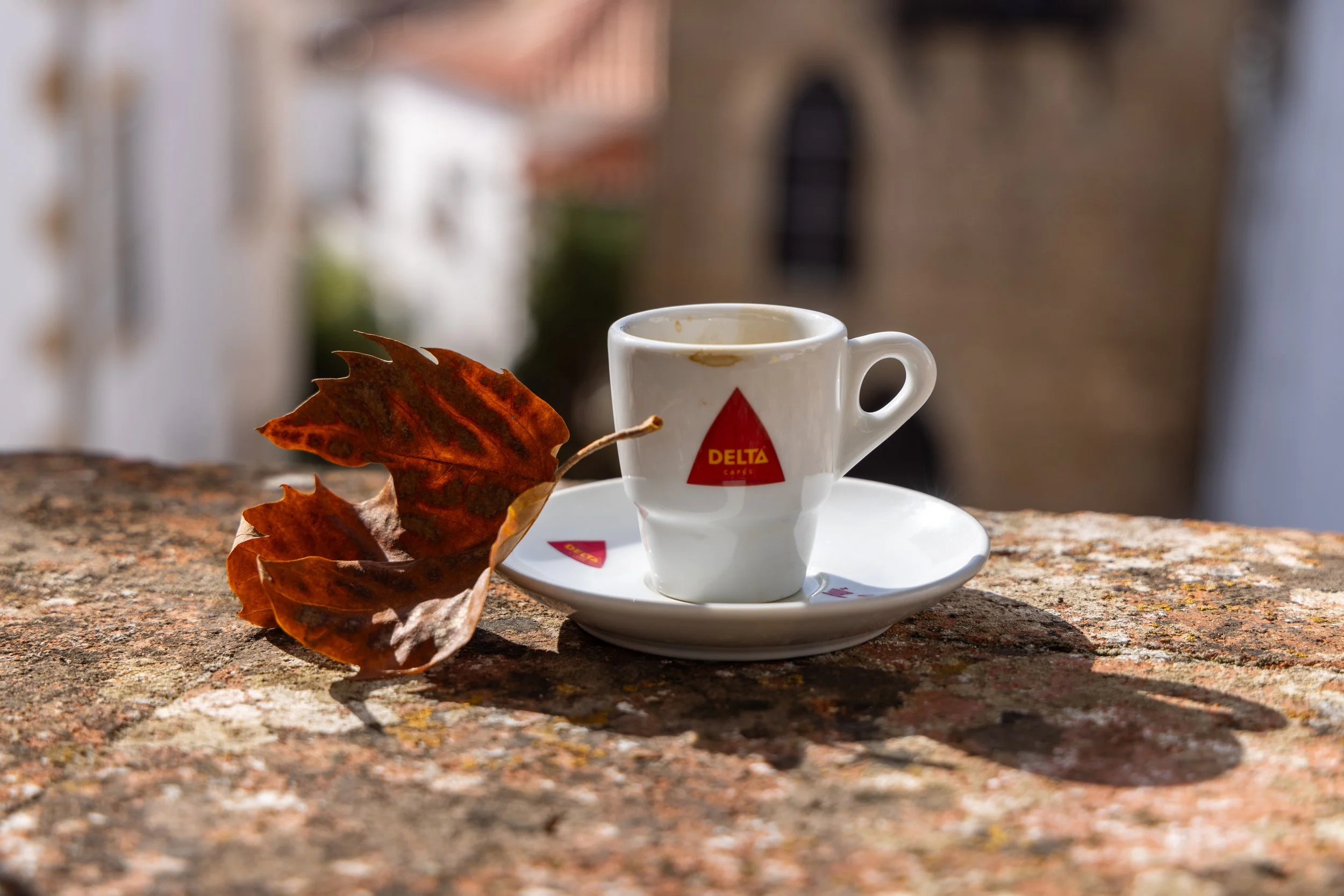 008A9116.jpeg