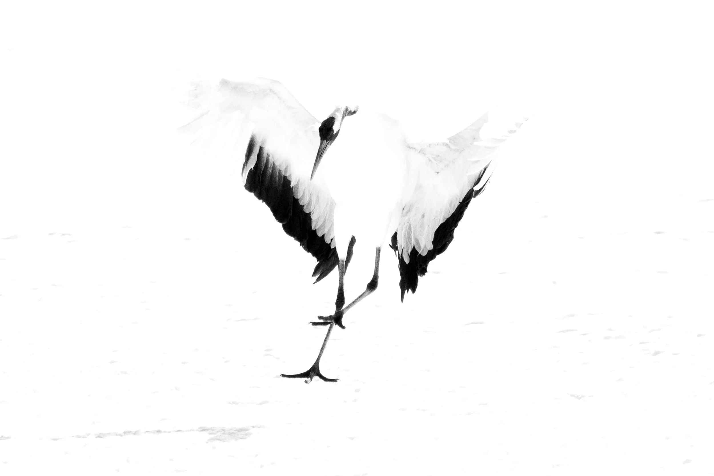 2R1A7783-2.jpg