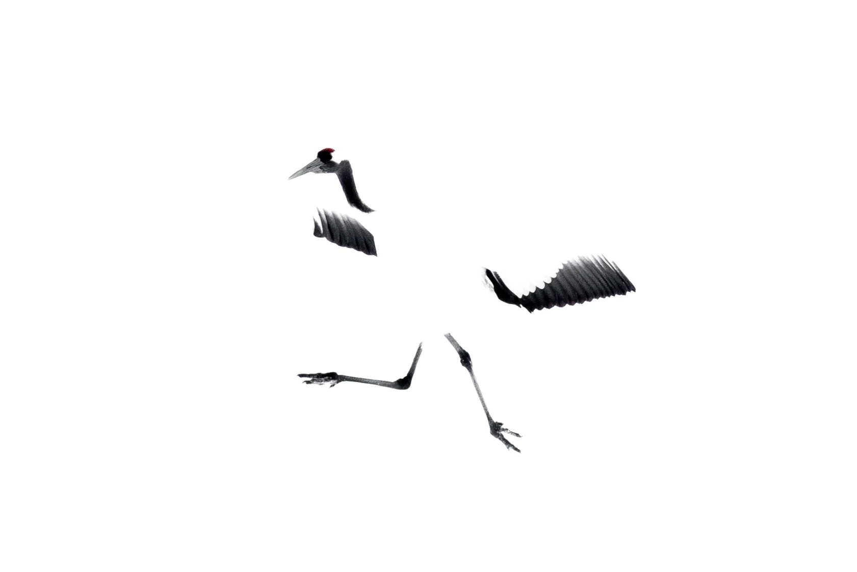 2R1A7415.jpg