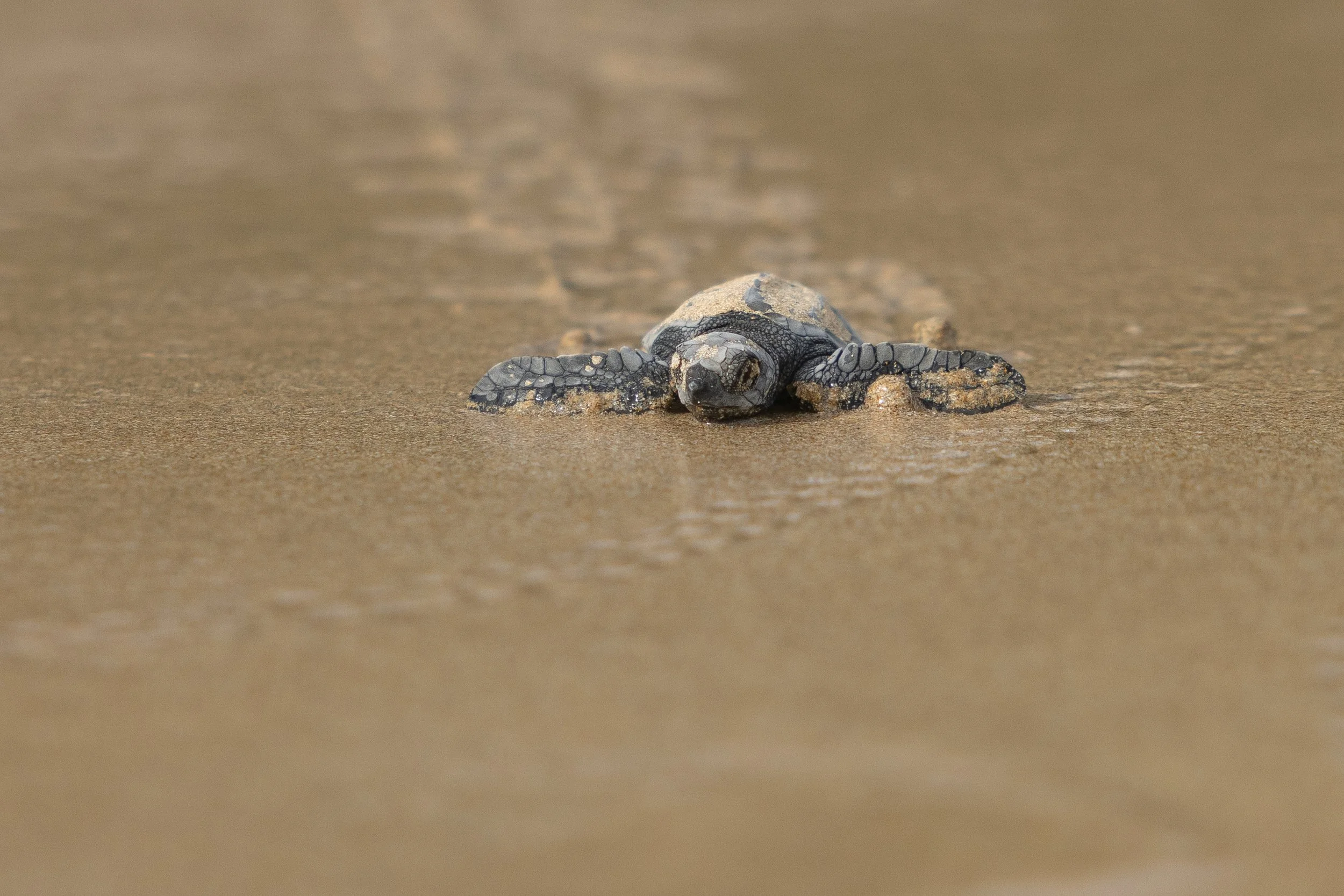 008A0698.jpg