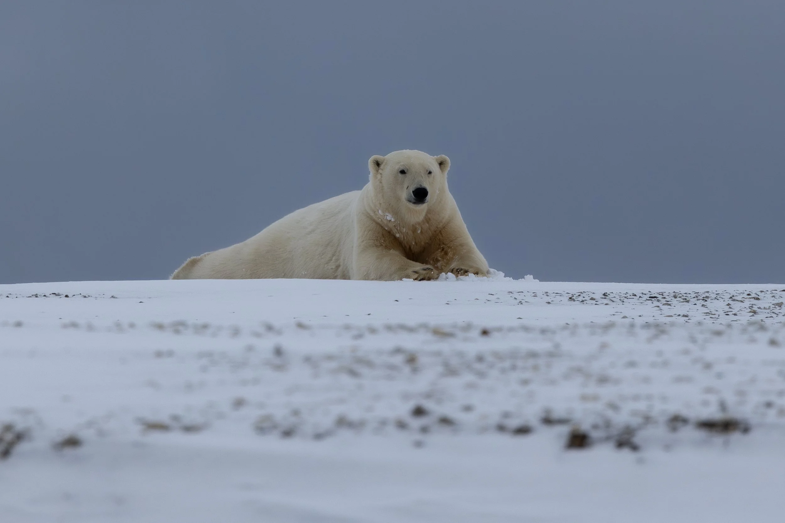 2R1A8178-Enhanced-NR.jpg