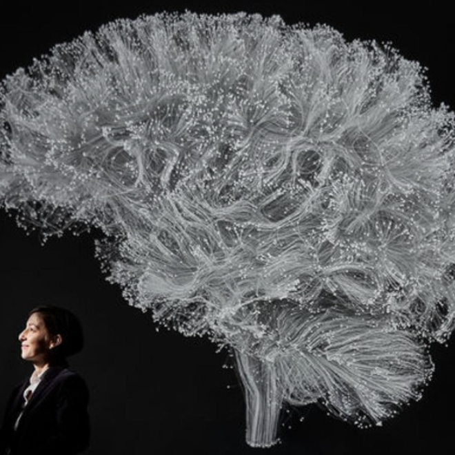 Dani Bassett, master network neuroscientist, poses for a photo in Science magazine.
Credits:
Photo provided by Science.
Post produced by Priyanka Pardasani.