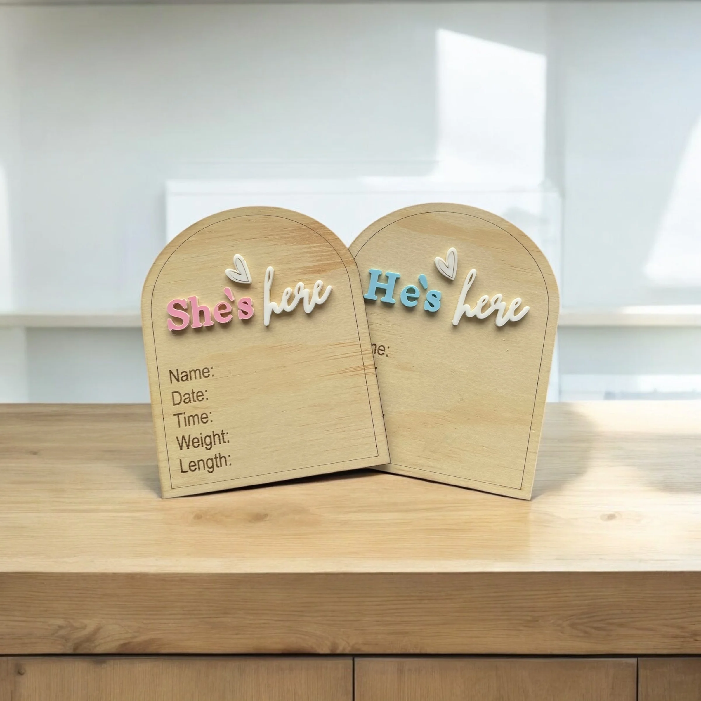 Gender Surprise Birth Announcement Plaque