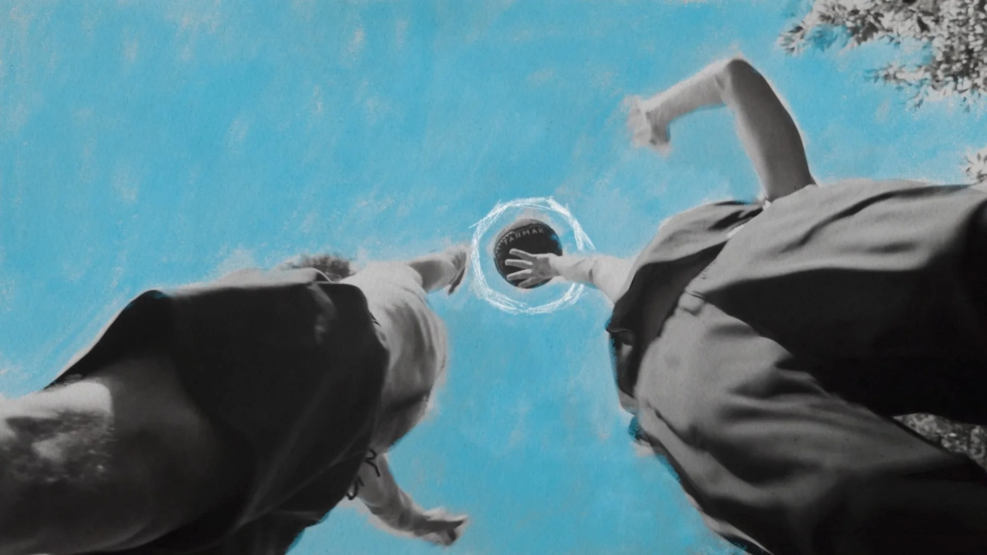Frames_4_00519.jpg