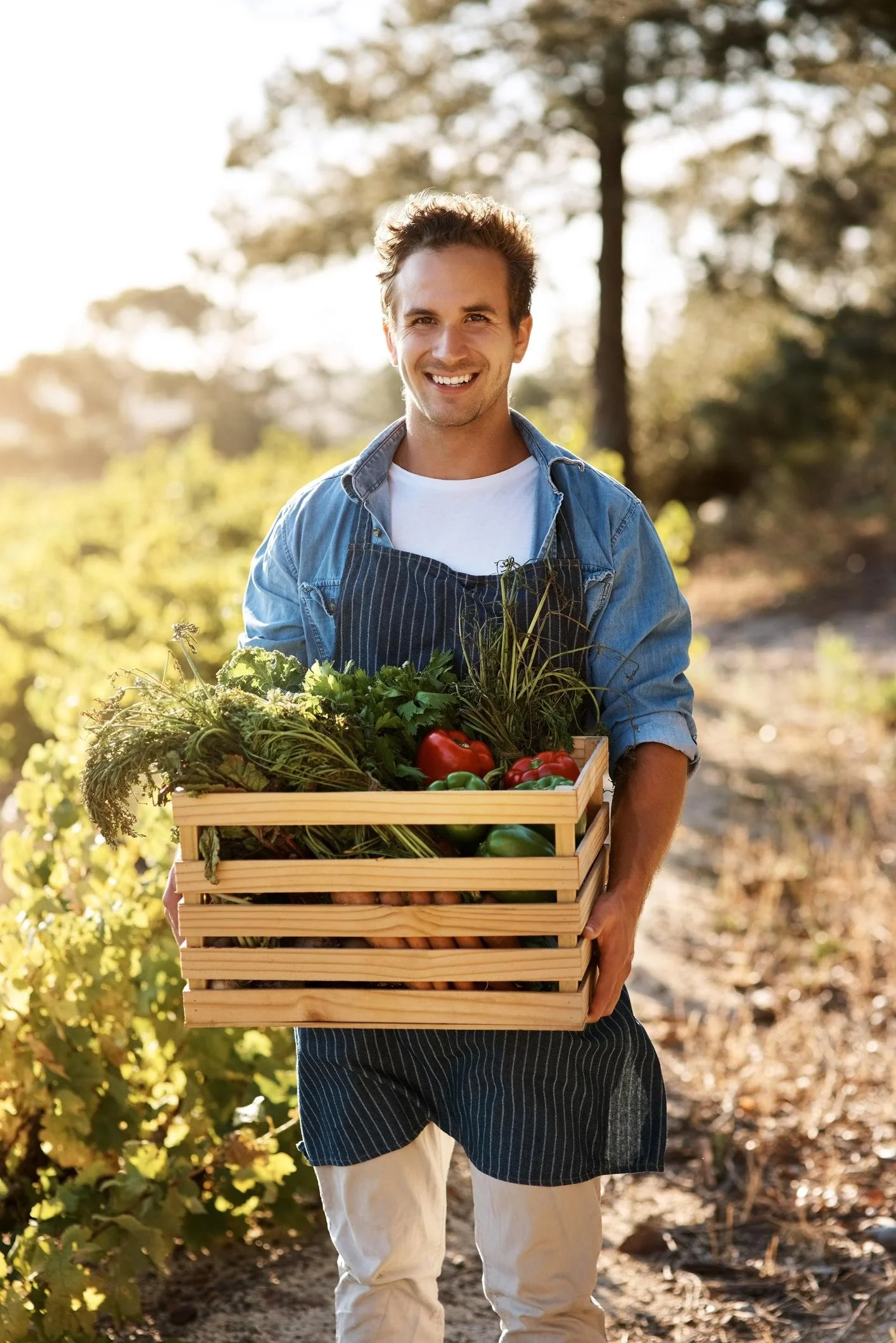 A smiling man holding a wooden crate filled with fresh vegetables and herbs in a garden or farm setting.