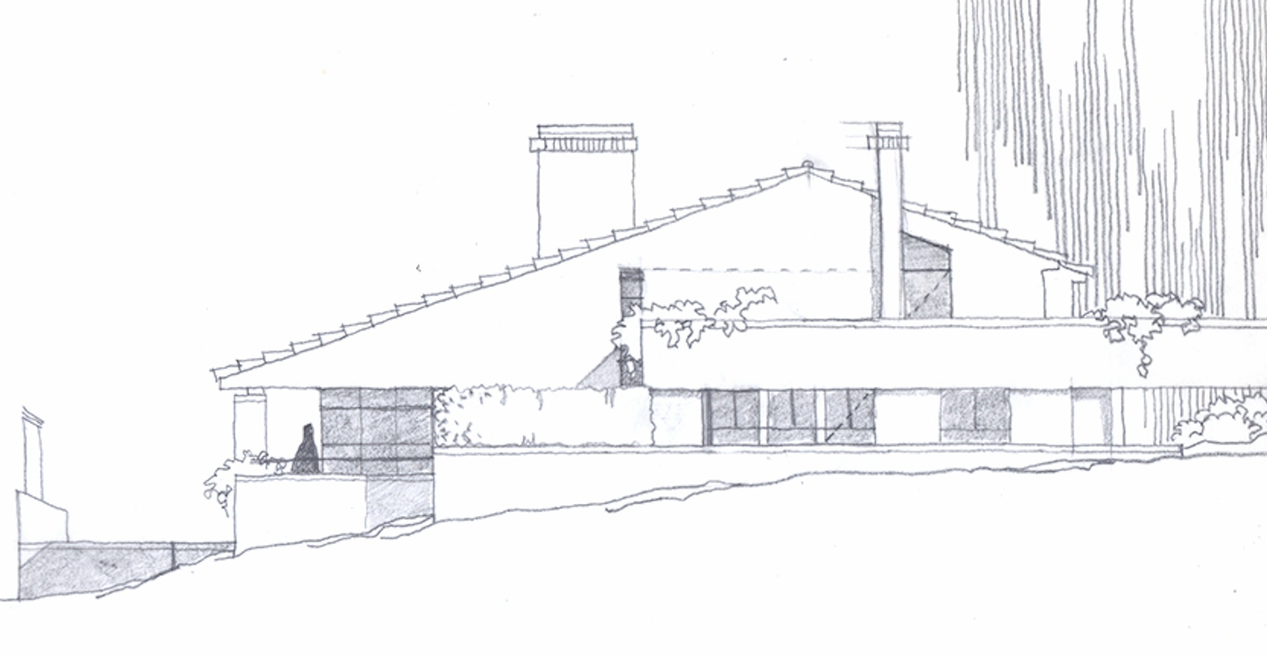 Dibujo arquitectónico en blanco y negro de una casa de una planta con techo inclinado, chimeneas, ventanas y vegetación.