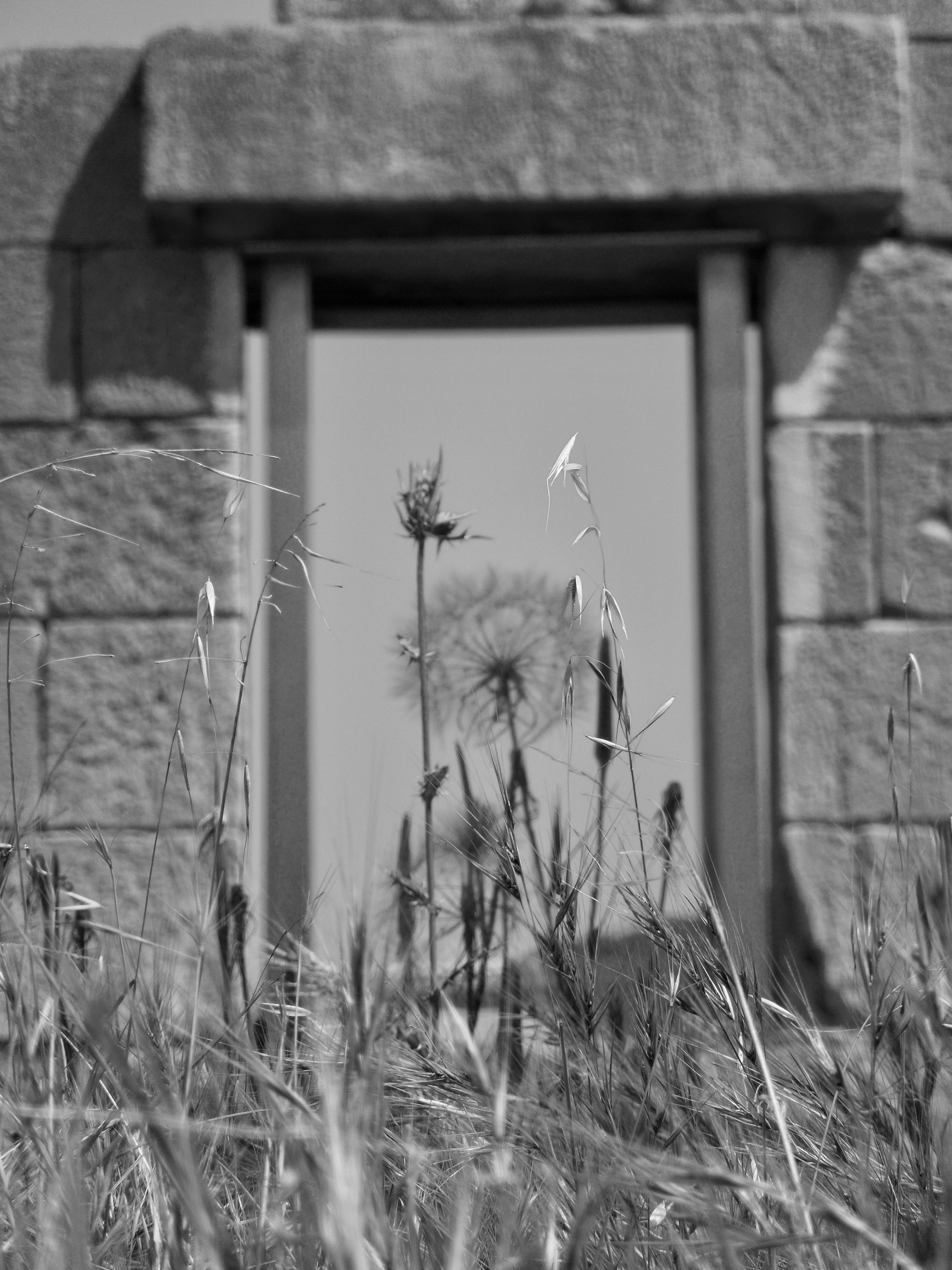 The Threshold - Türkiye 