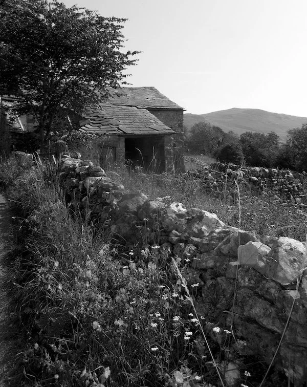 Wandering ‘Up North’