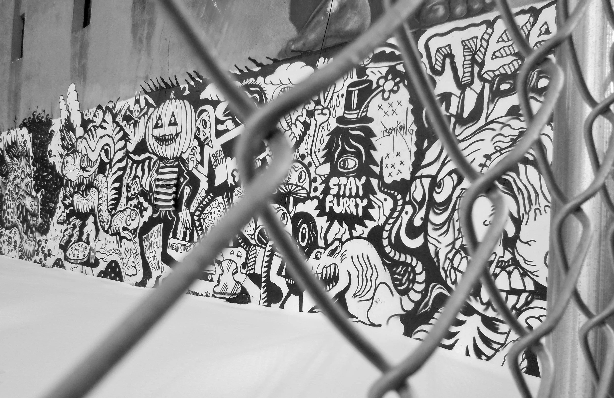 Beyond the Fence