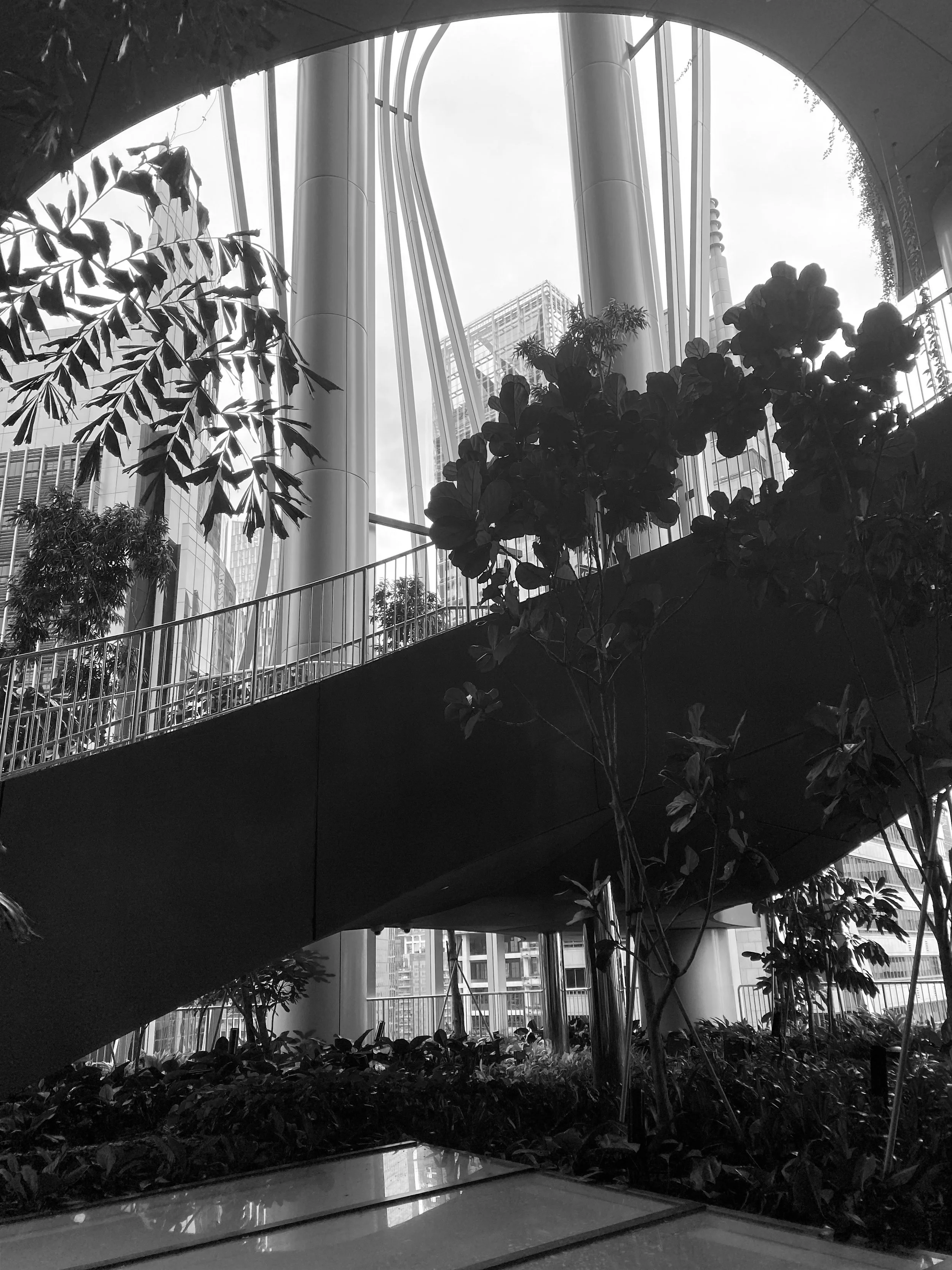 The Divide - Singapore