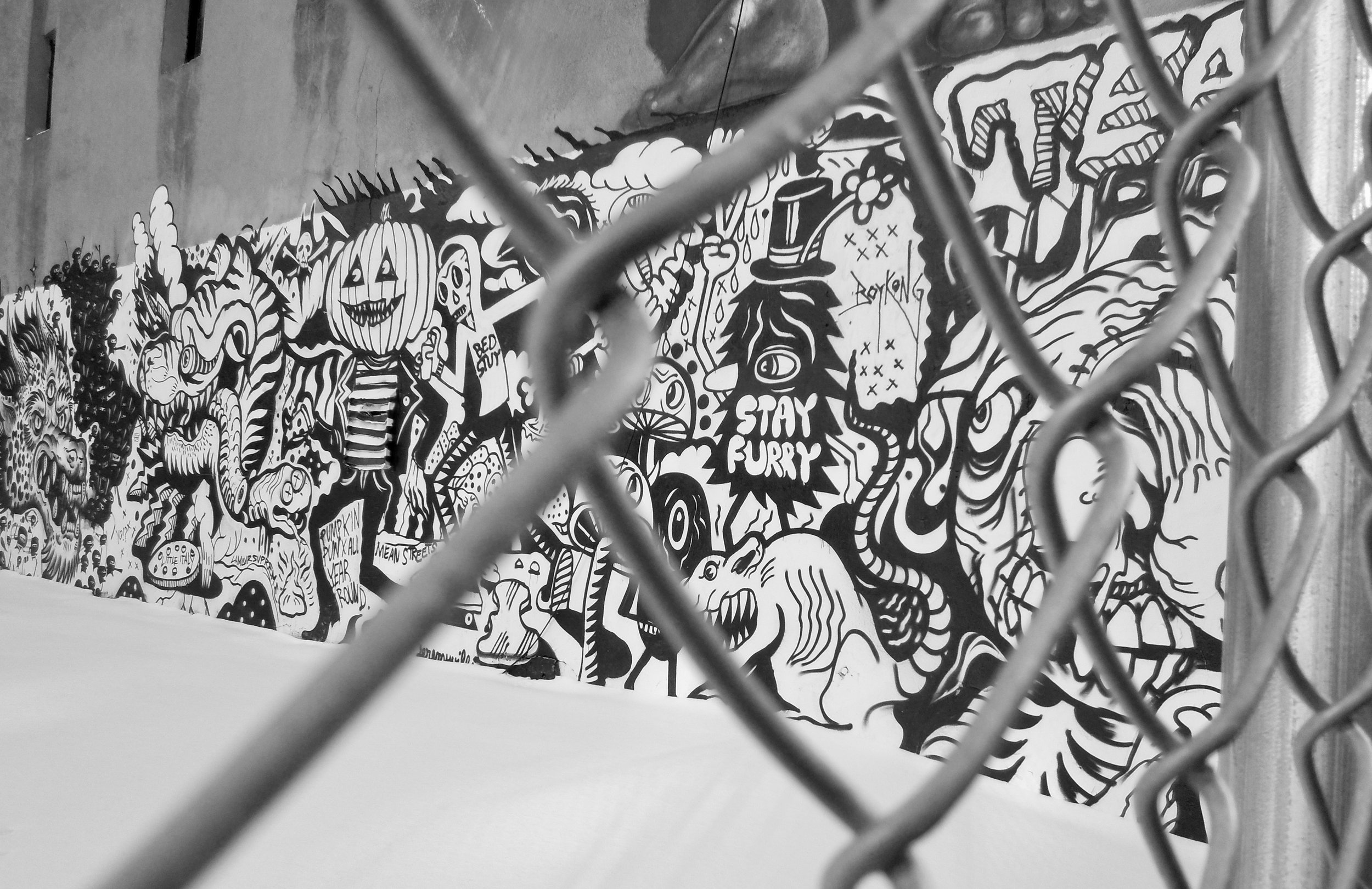 Beyond the Fence - USA