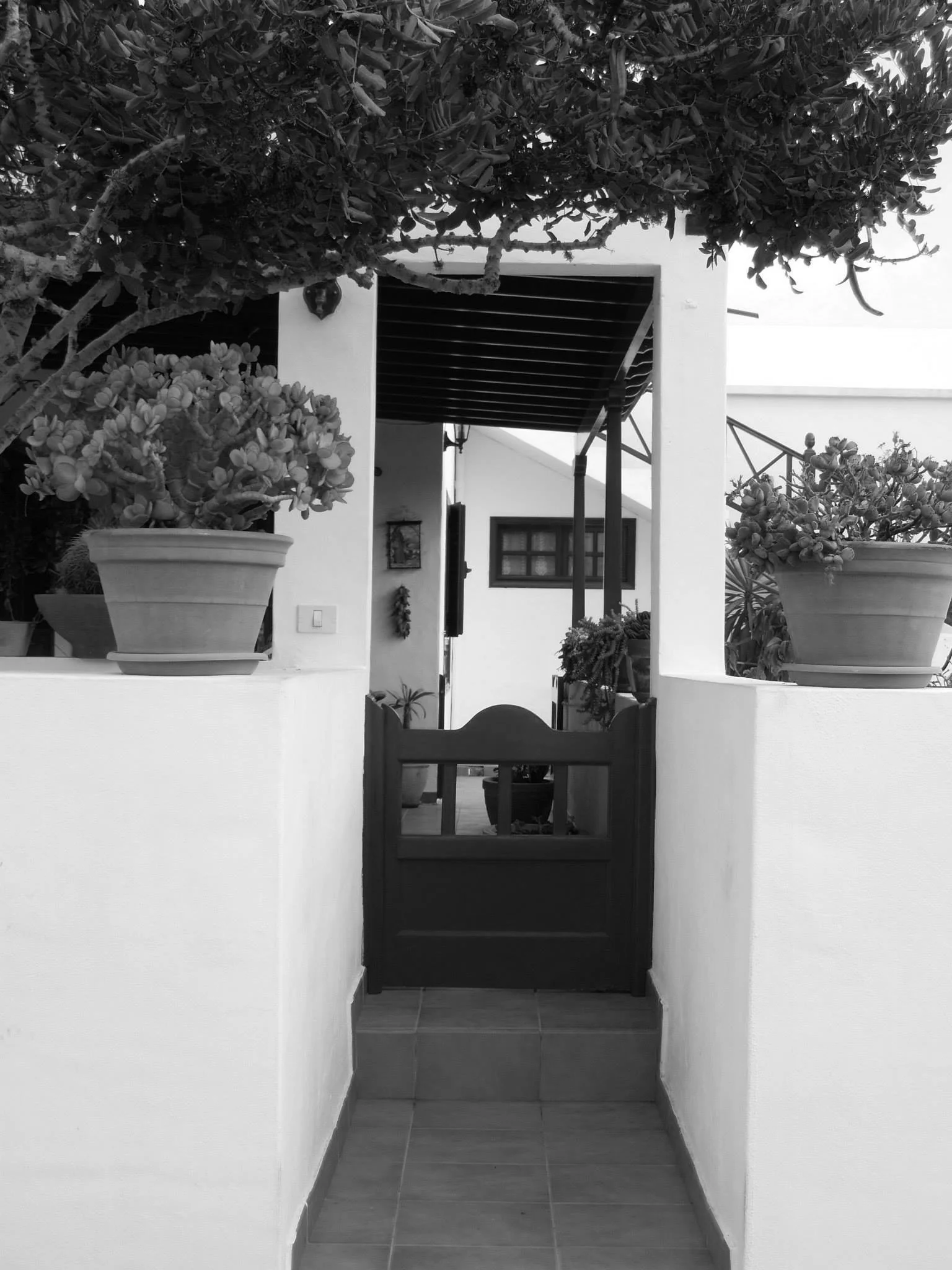 The Entrance - Fuerteventura 