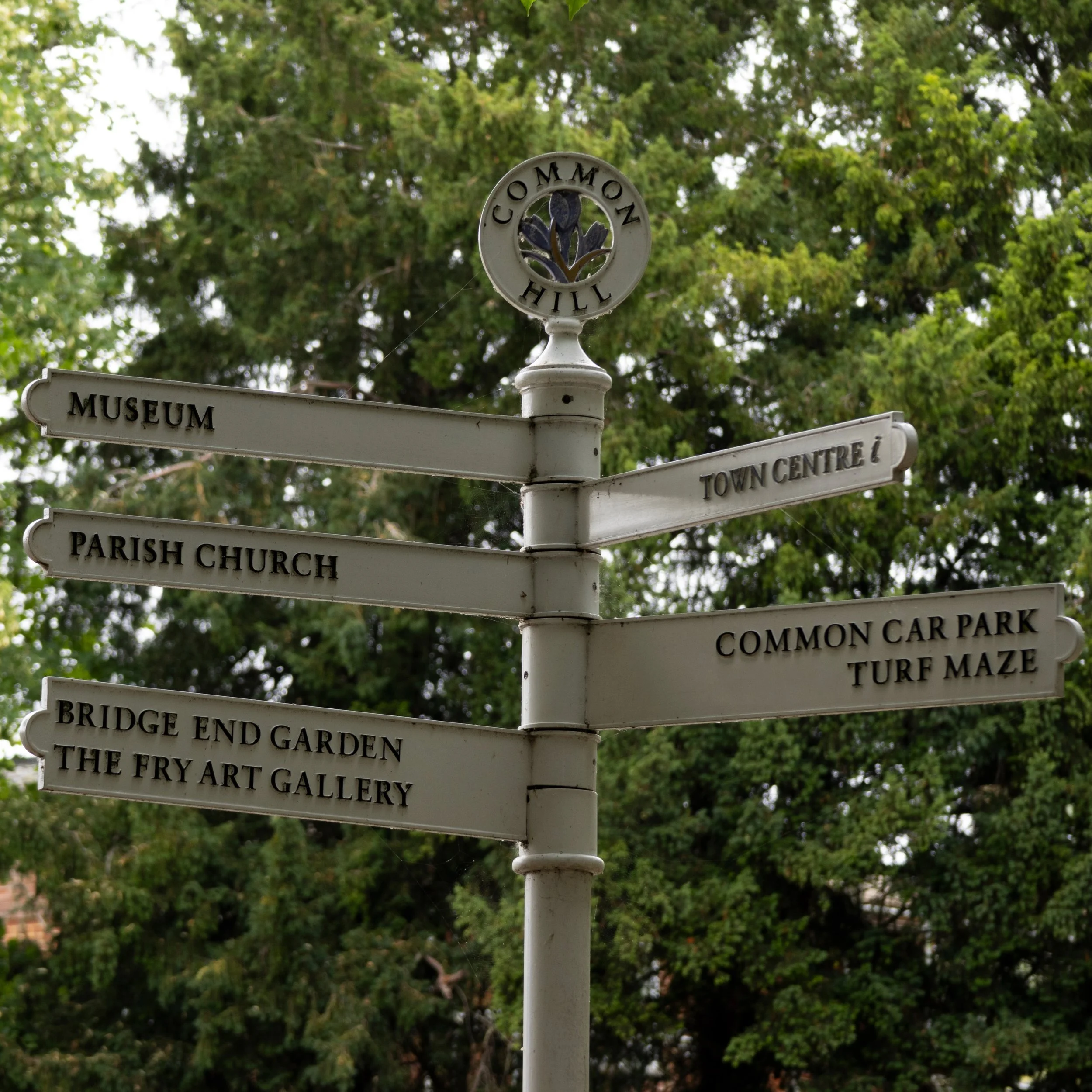 The Common & Turf Maze 