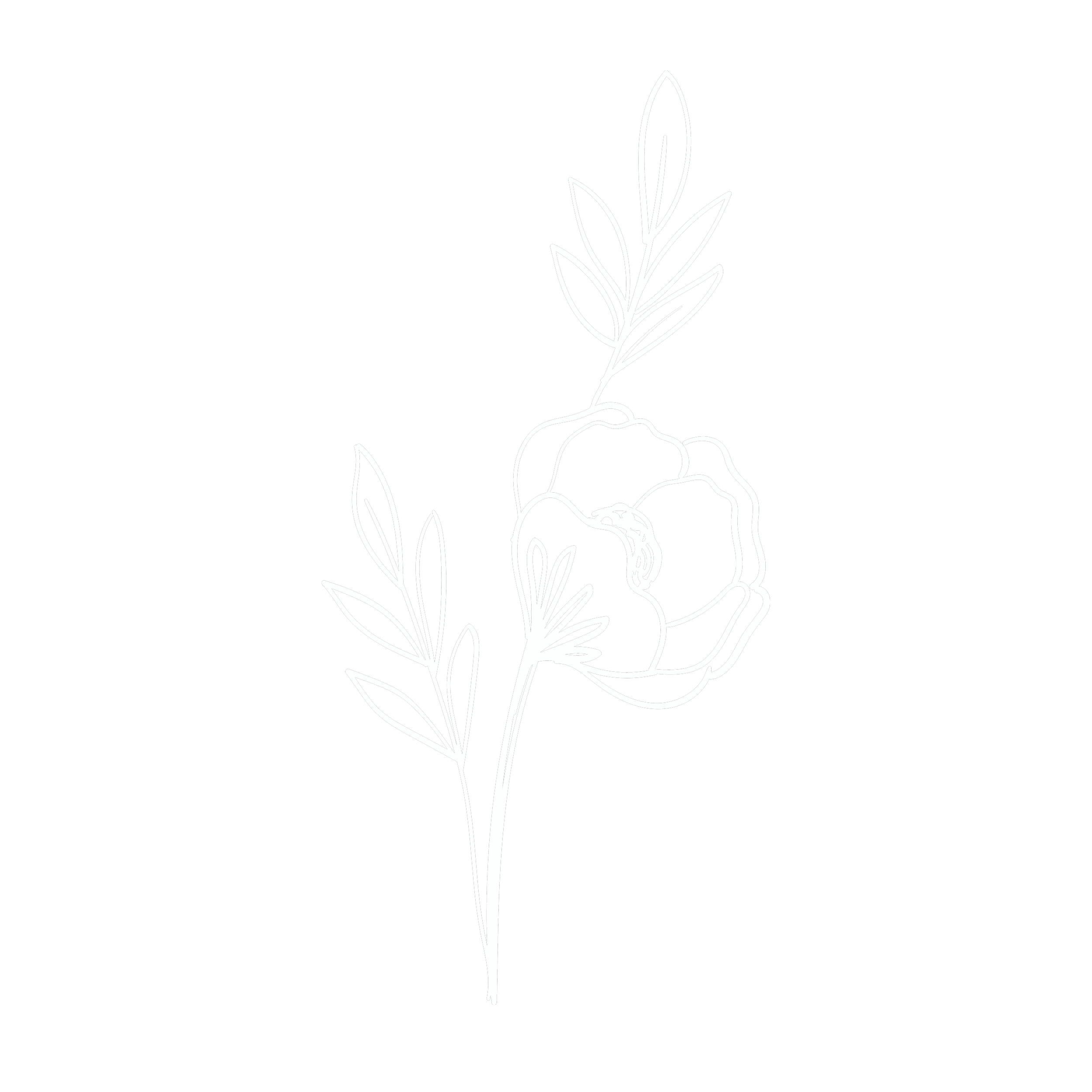 A minimalist line drawing of a woman holding a flower, against a black background.