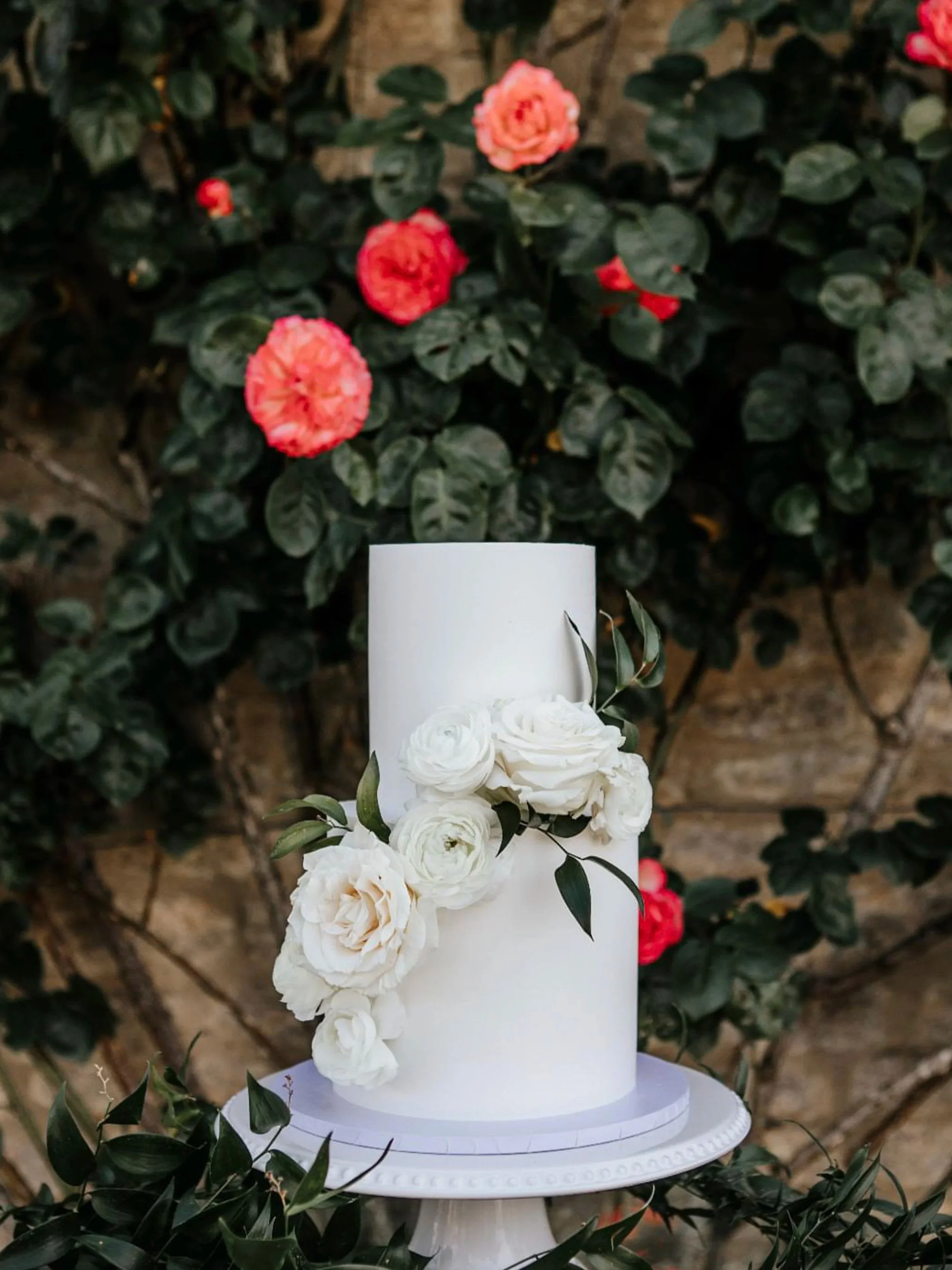 White tiered cake decorated with white roses and green leaves, placed on a white cake stand, with pink and red camellia flowers and green foliage in the background.