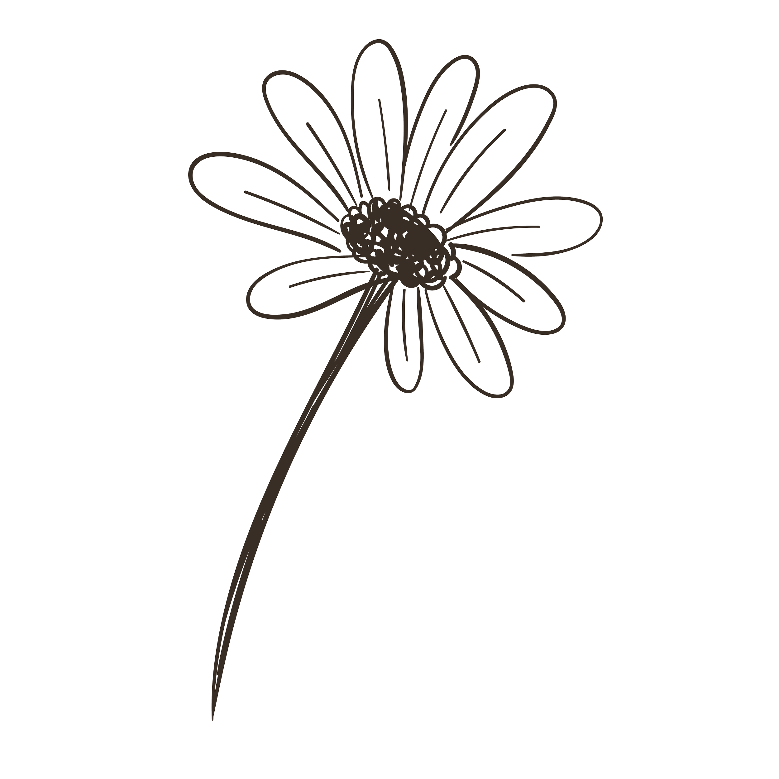 Line drawing of a daisy flower with detailed petals and a central disk.