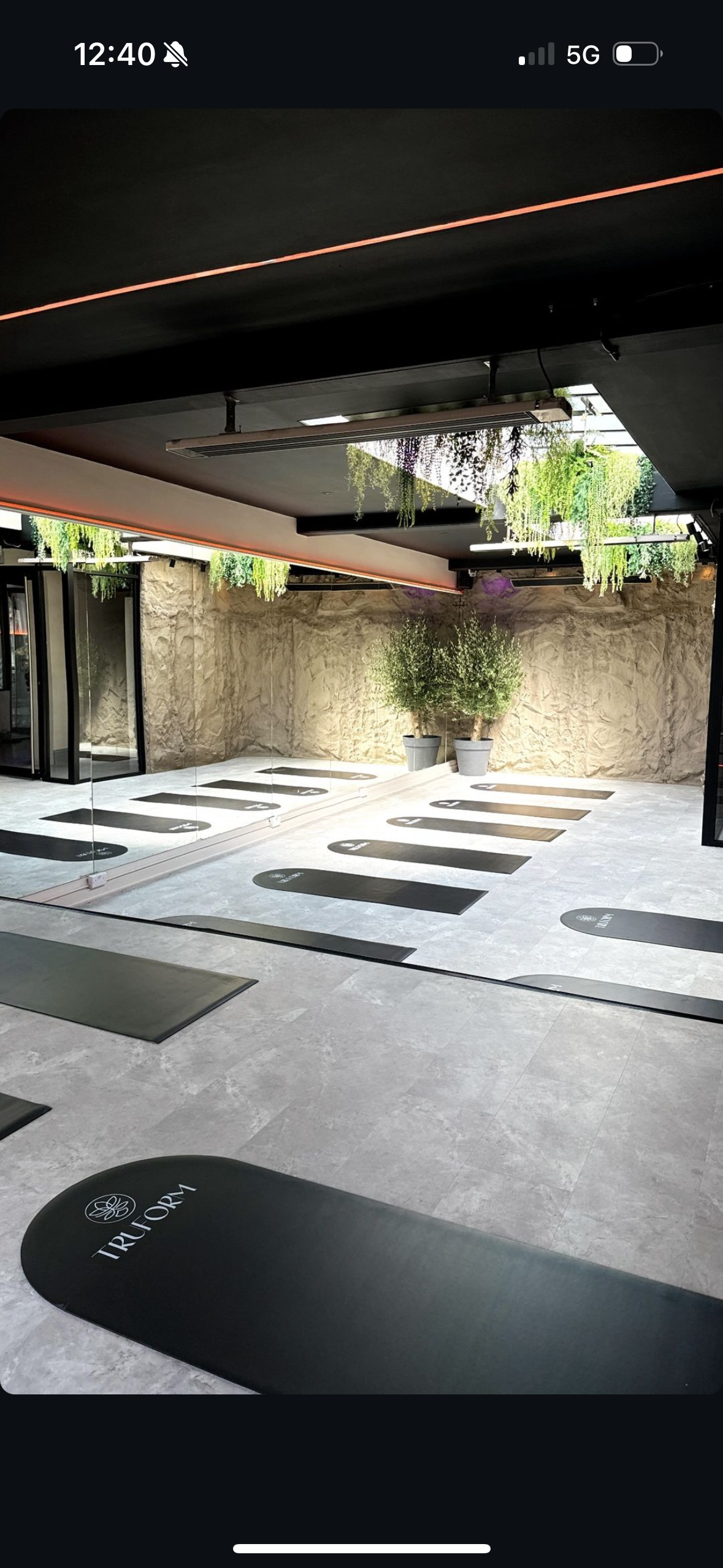 Interior of a modern yoga studio with black mats on the floor, mirrored walls, and hanging green plants, plus potted plants against a textured wall.