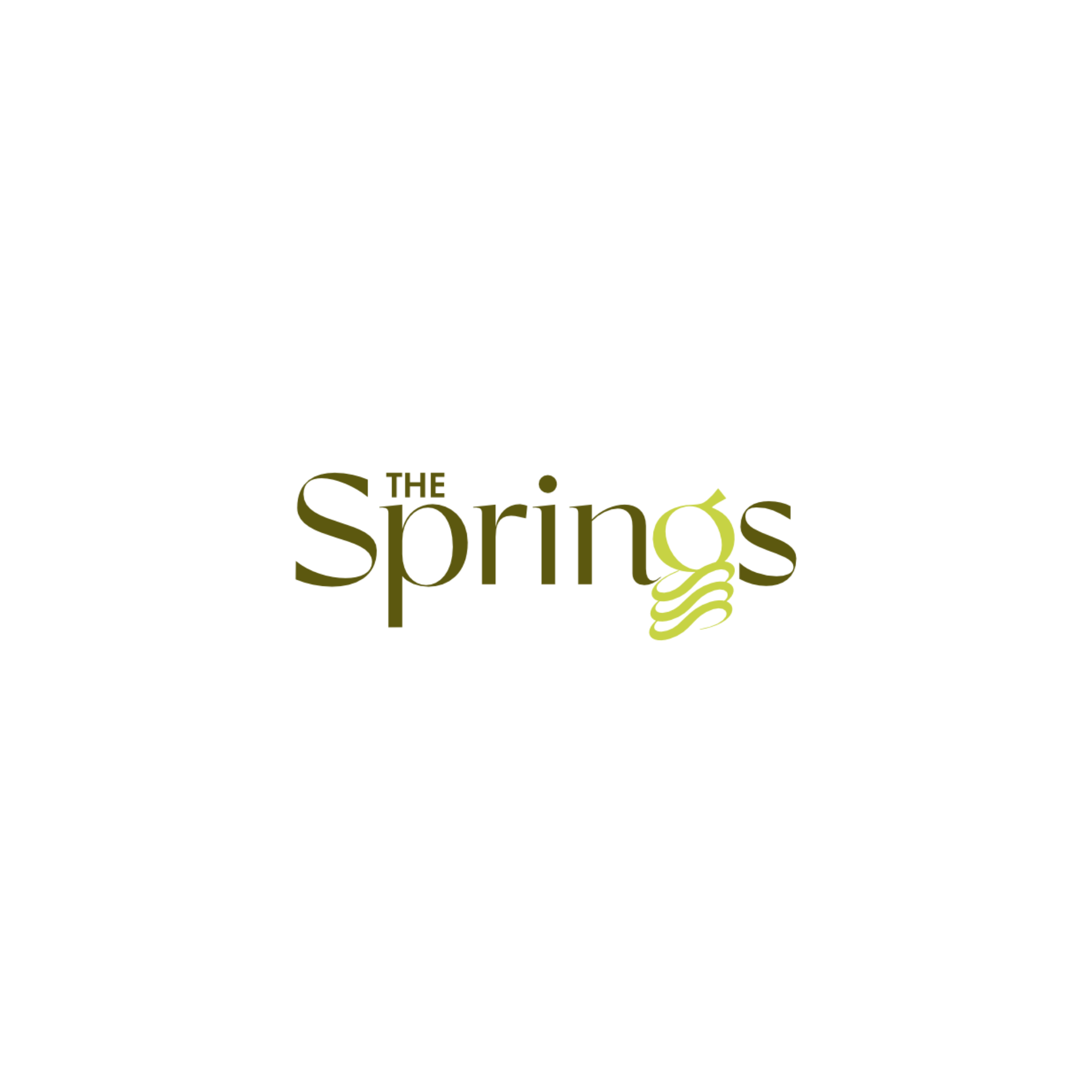 Silhouette of a person jumping with arms raised against a sunset background over water, with the words "The Springs" at the bottom.