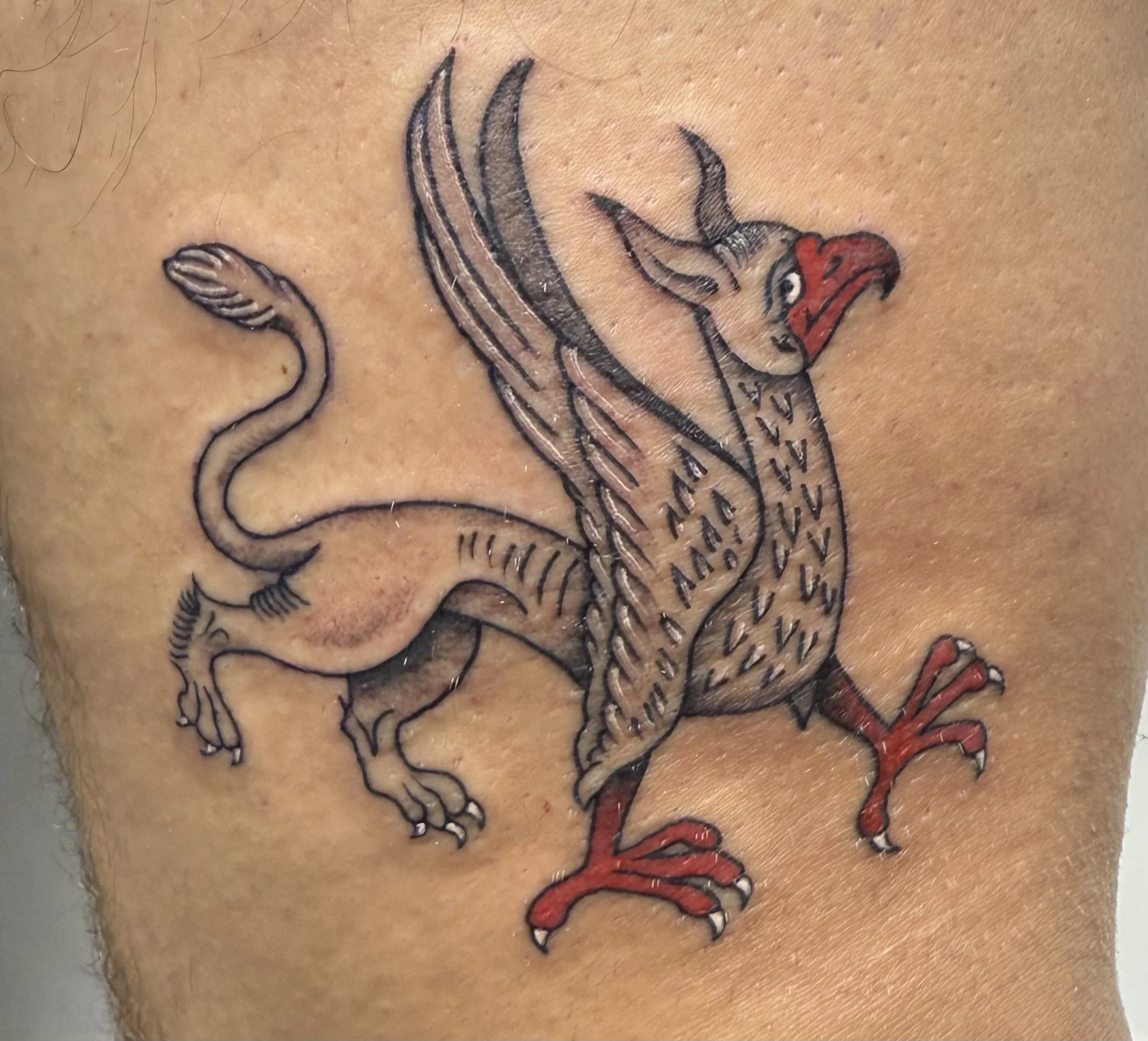 Color tattoo of a griffin with horns and feathered wings, medieval marginalia style