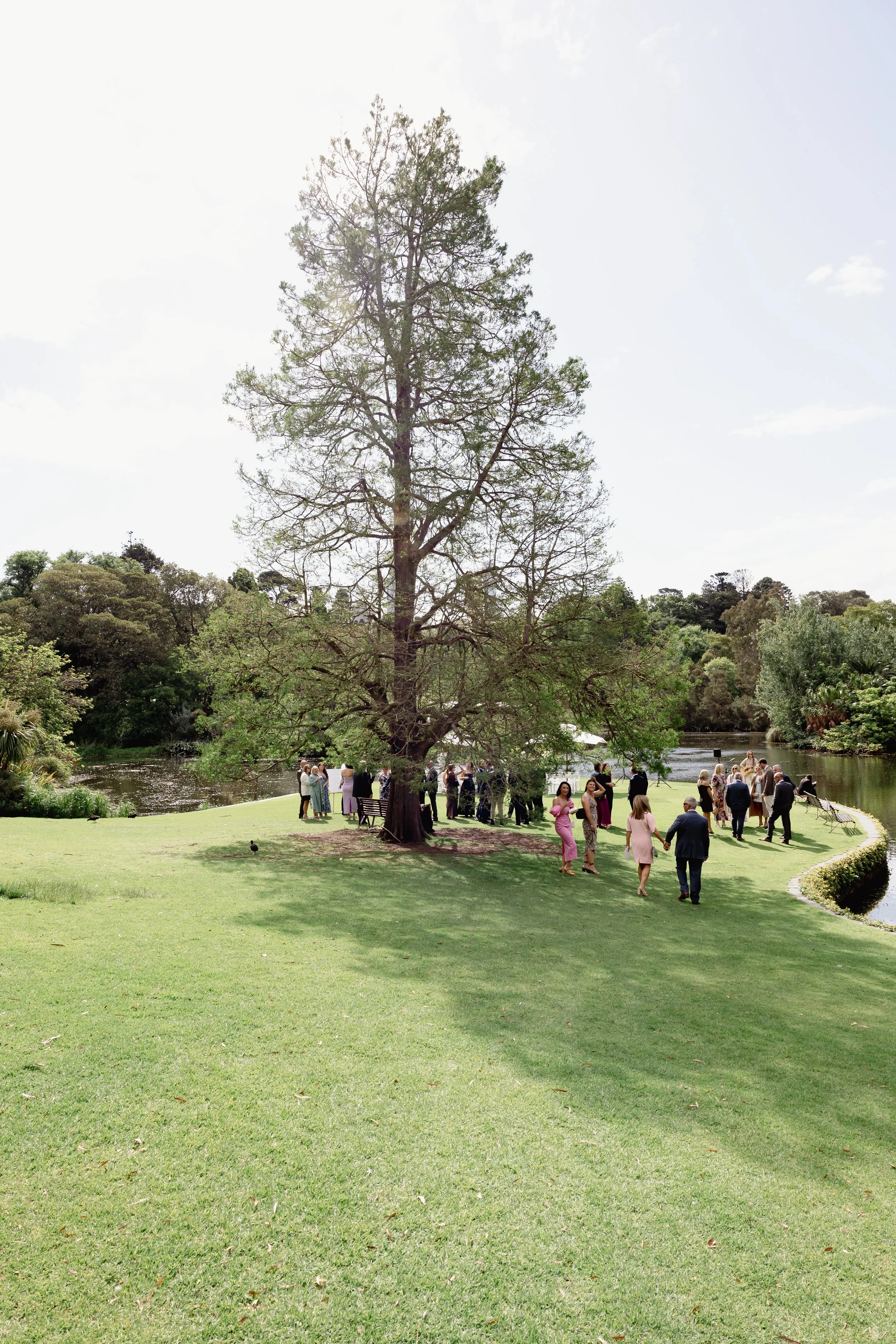 Emma & Cameron | The Terrace | Erin Neale Photography | Garden Wedding