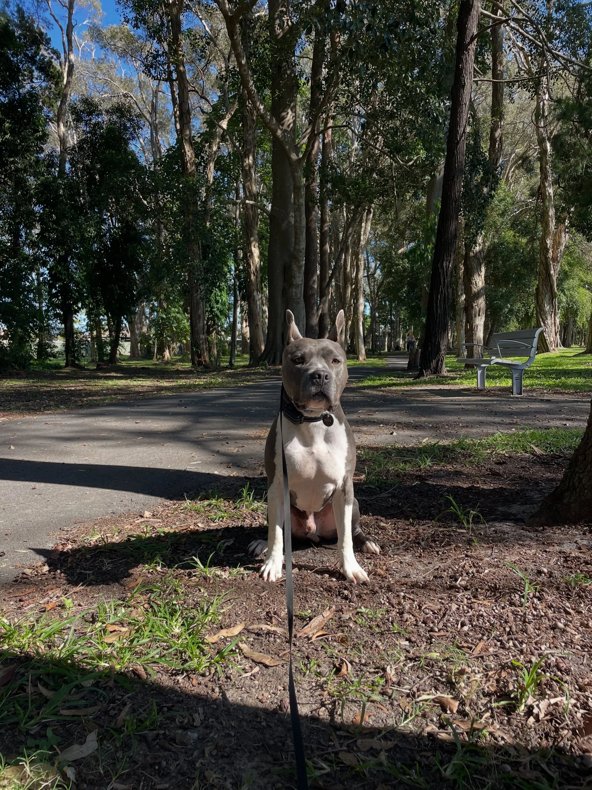 BTS of posing for mum🤎 no treats=no pose