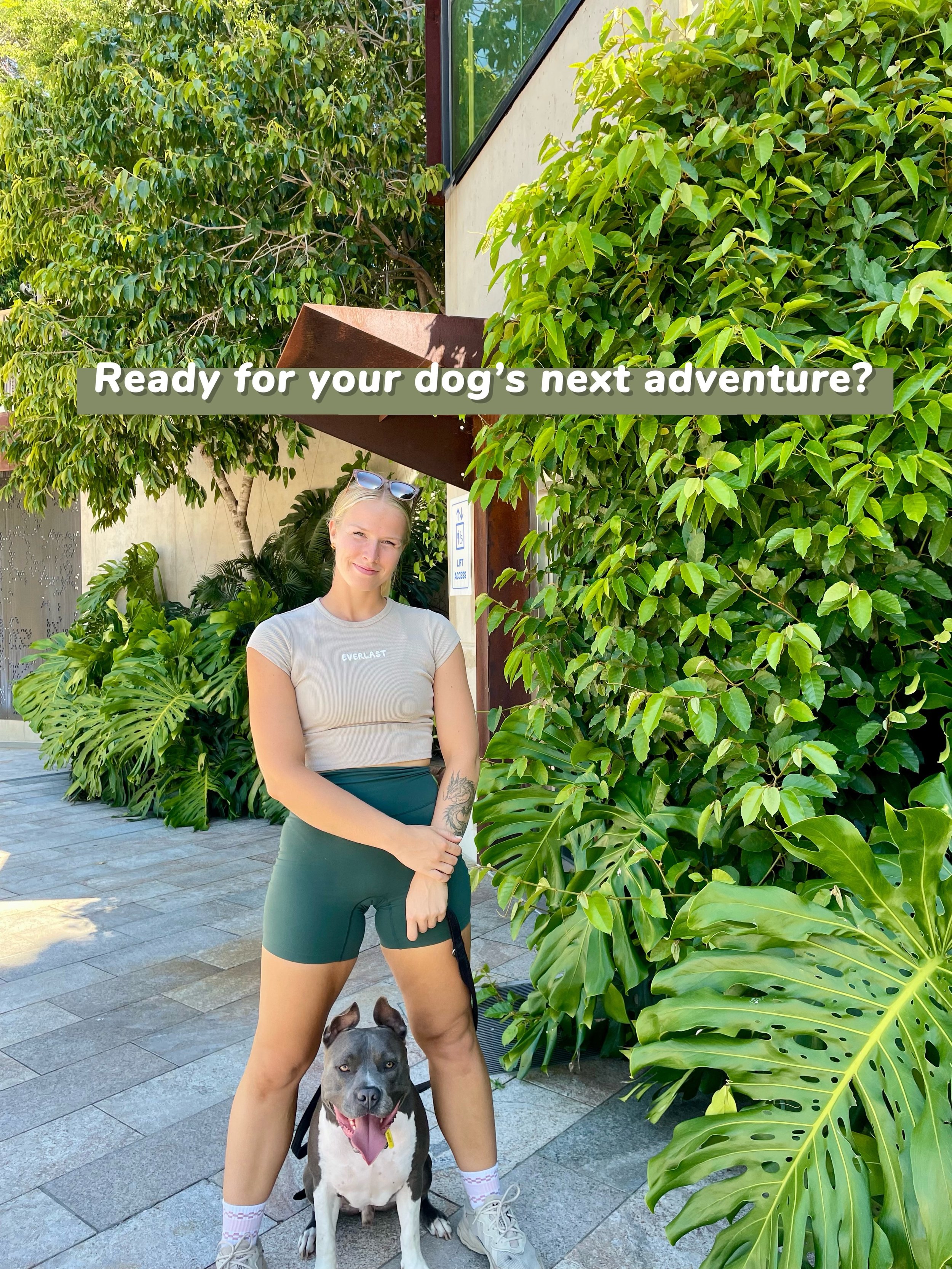 New here? Here&rsquo;s how Pack &amp; Trails works 🌿🐾

Every dog is different, and their adventures should be too. Whether your dog loves a relaxed sniff through nature, a longer trail adventure or exploring alongside a small, well-matched group, w