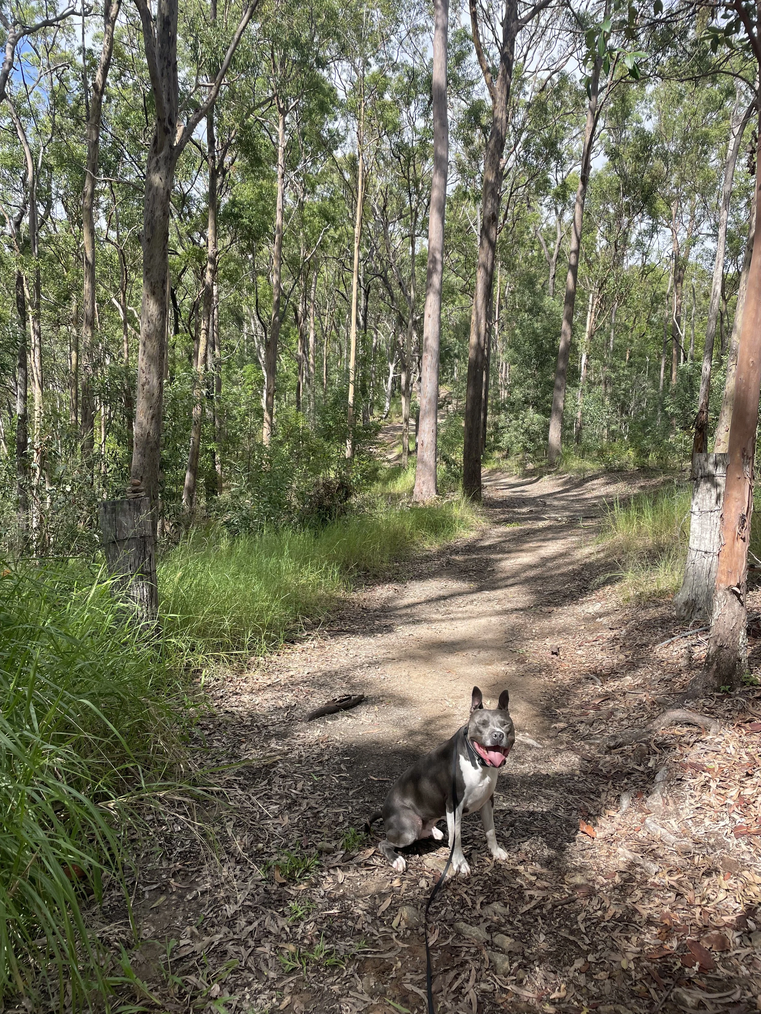 Solo Adventure Hike