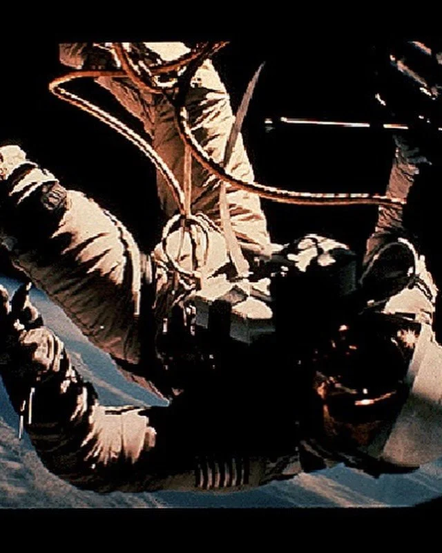 Did you know? There were 115 images encoded on the Golden Record (see our Frank Drake post for more info!) 
Here are some of those images made available on NASA&rsquo;s website. What aspect of our planet/civilisation do you think each represents? 🤔?