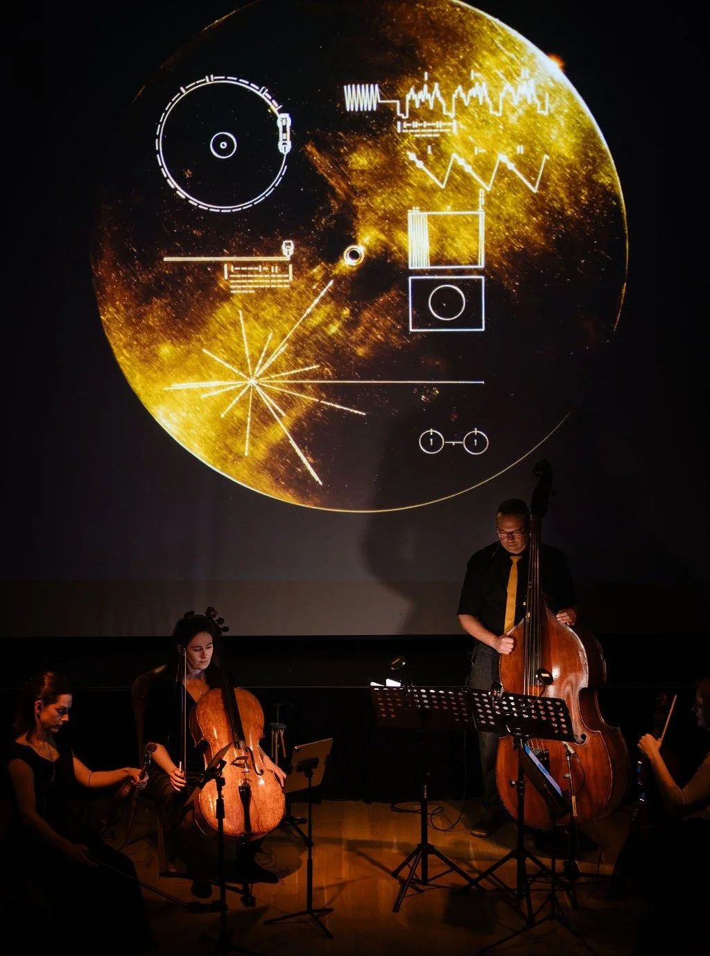 The golden record in all of its glory (not in person, of course! It's floating through space as we speak).

Did you know the etchings on it, which were on the case of the actual record, are instructions for how to play the record and how to construct