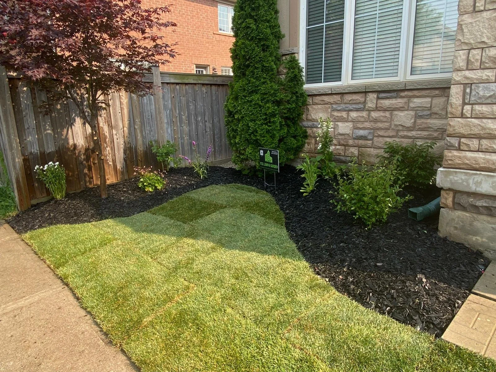 A landscaped backyard garden with a small tree, several flowering bushes, and a neatly trimmed green lawn. The garden is bordered by black mulch and enclosed by a wooden fence and house wall with a large window. There is a small sign indicating it is a pollinator-friendly garden.