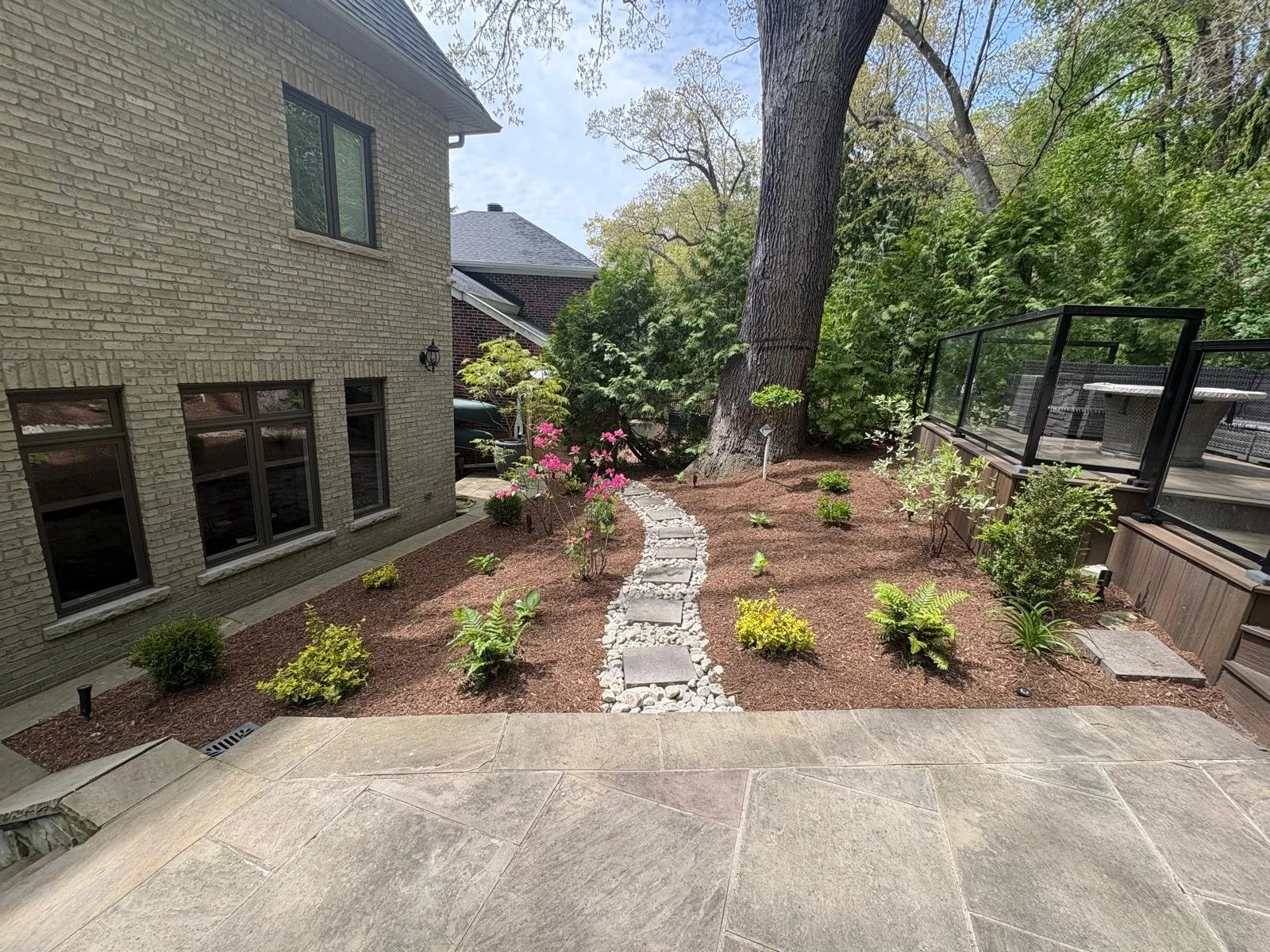 A backyard garden with a stone pathway leading from a patio to a large tree, surrounded by small plants and shrubs, with a house on the left side and a deck with a black railing on the right.