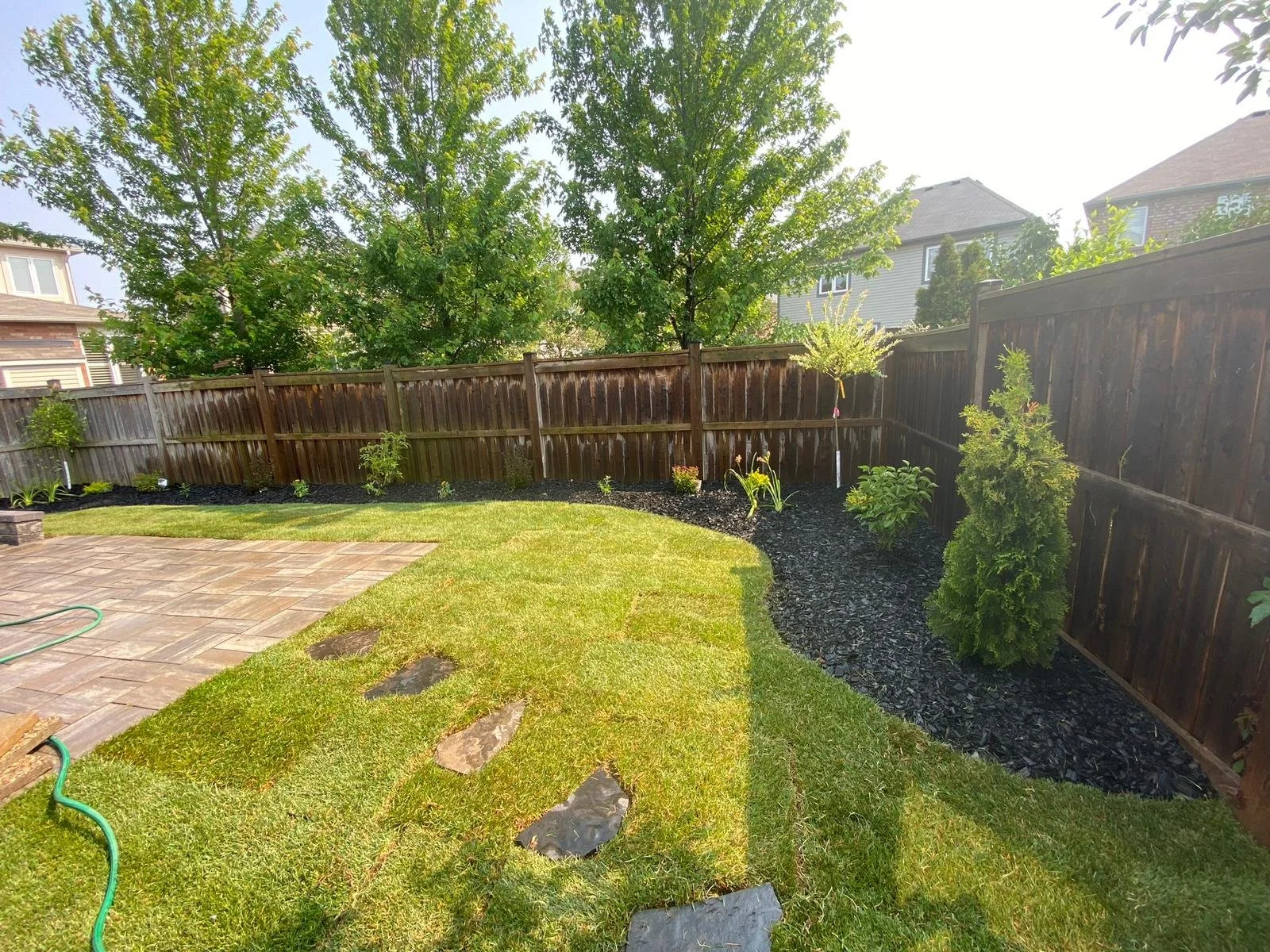 A backyard with a green lawn, stepping stones, a newly planted flower bed with small shrubs and plants, a wooden fence, and large trees in the background under a clear sky.