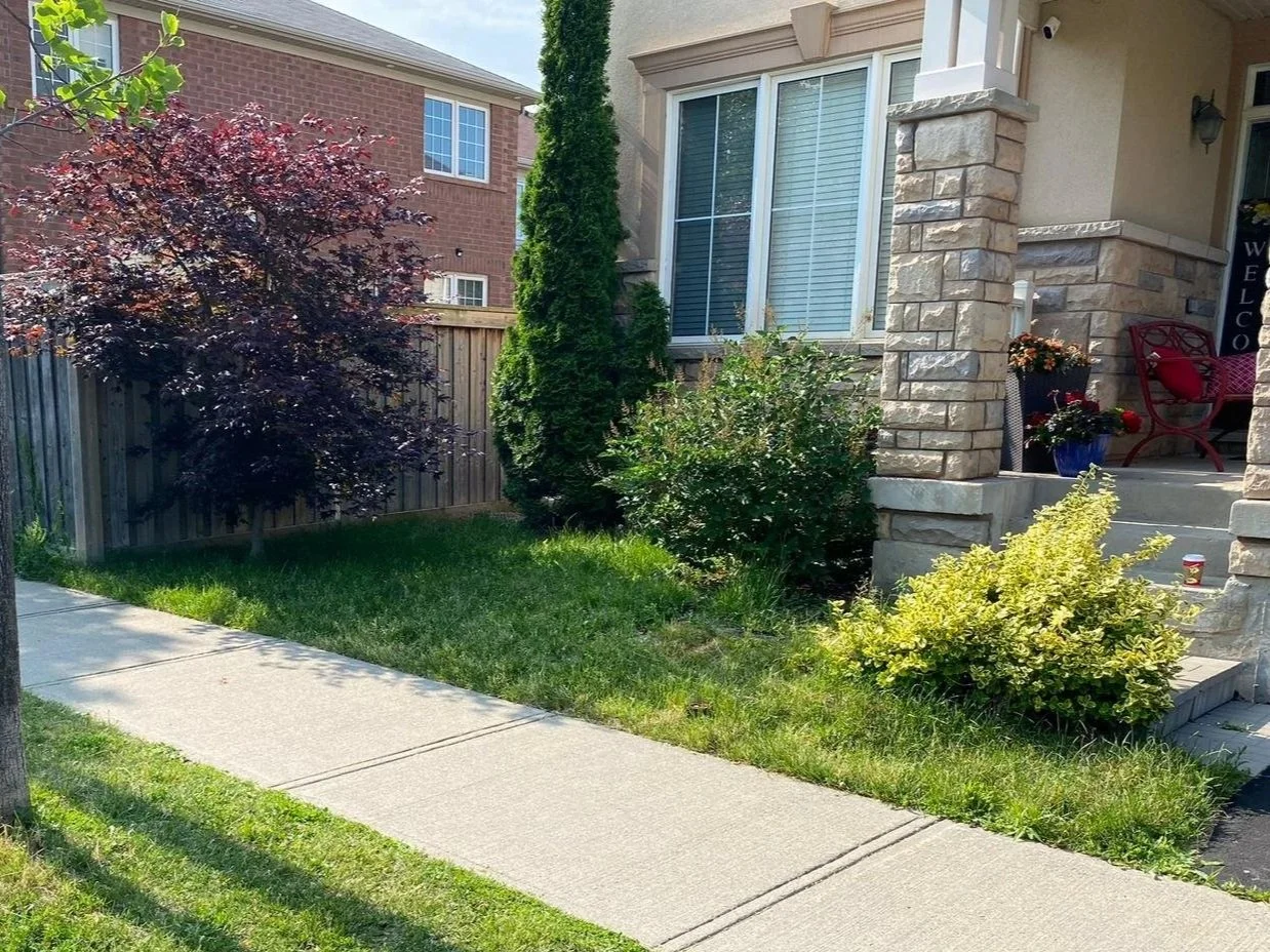 Front yard with sidewalk, grass, shrubs, a purple-leafed tree, and a porch with potted flowers and seating.