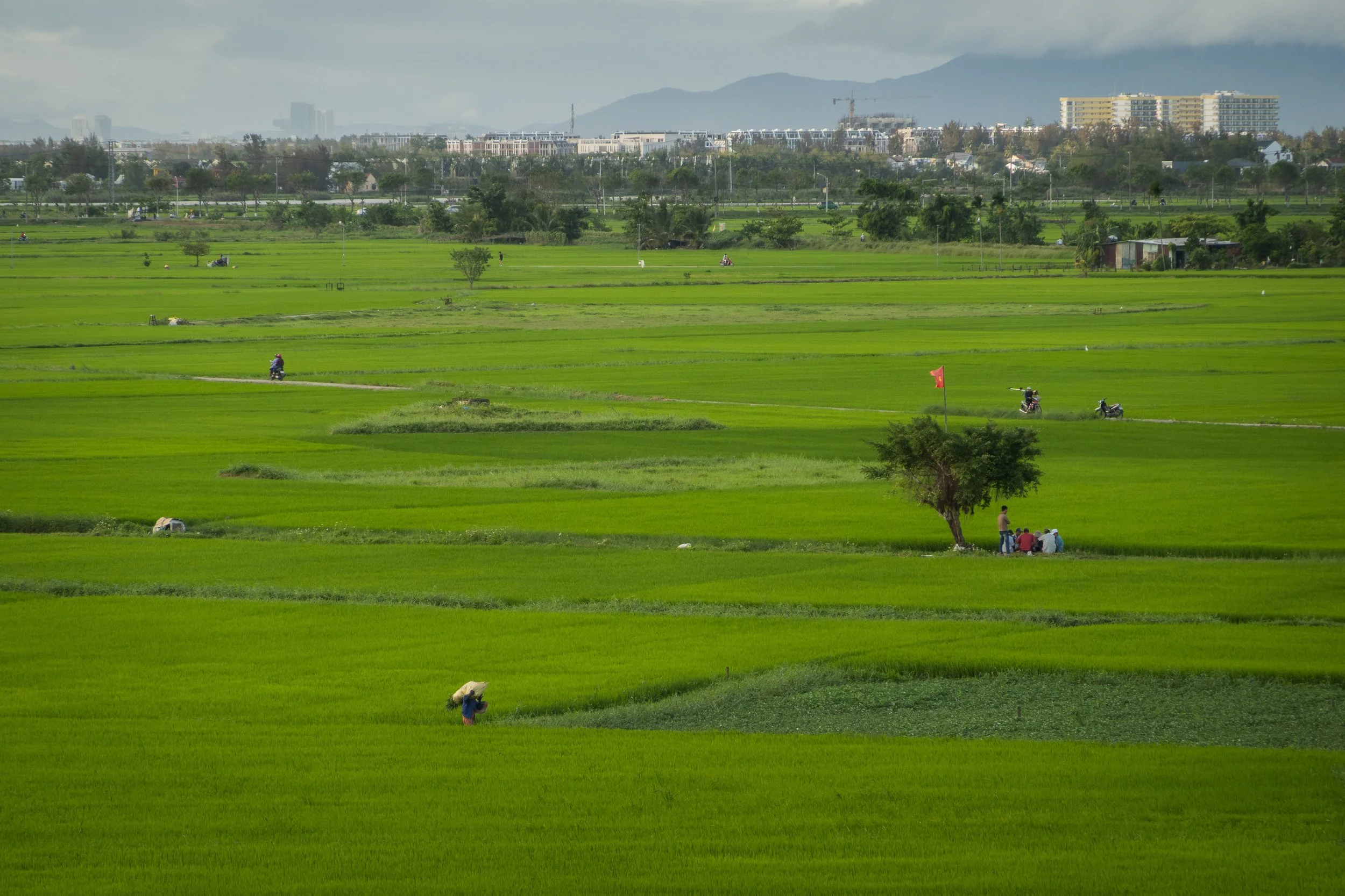 Hoi An, Vietnam - 2026