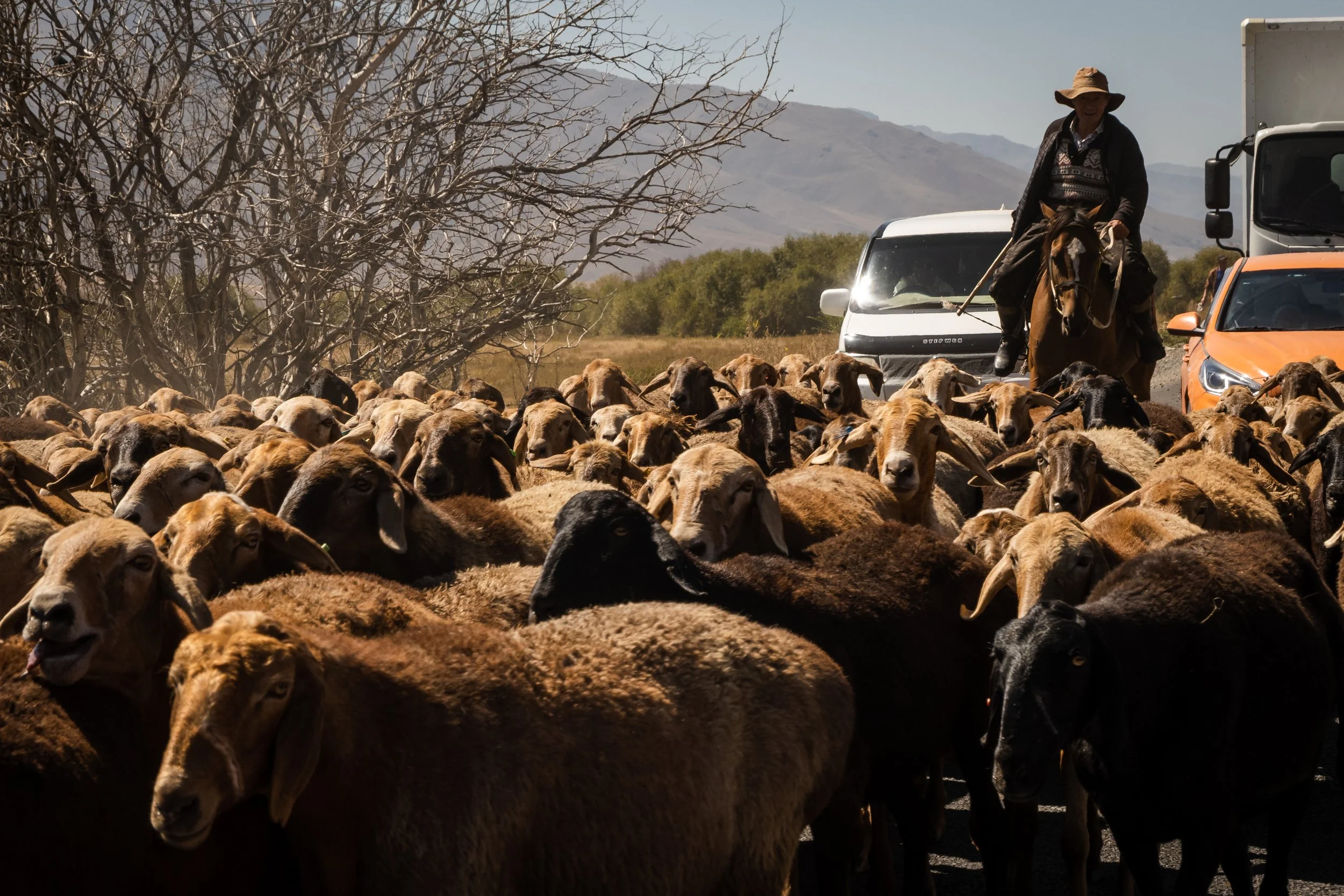 Traffic jams on the Bishkek to Osh highway