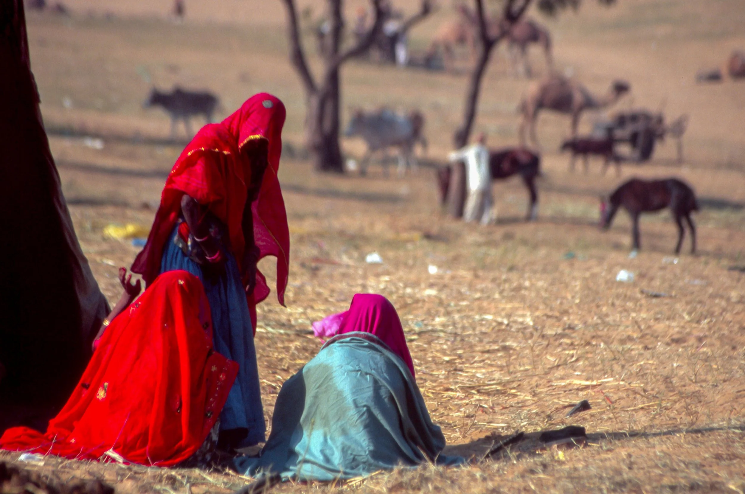Pushkar, India - 1996