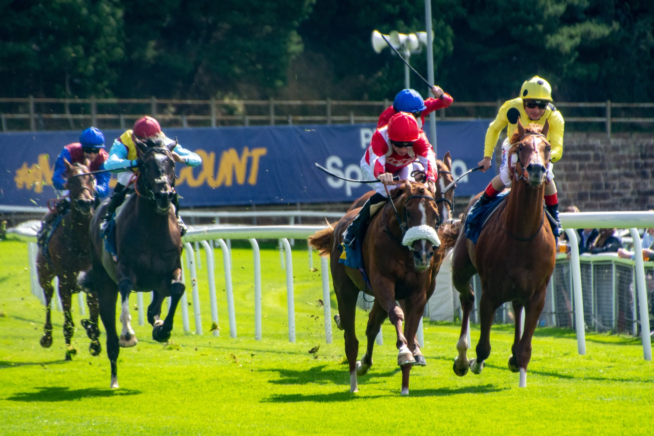 Chester Races, UK - 2019