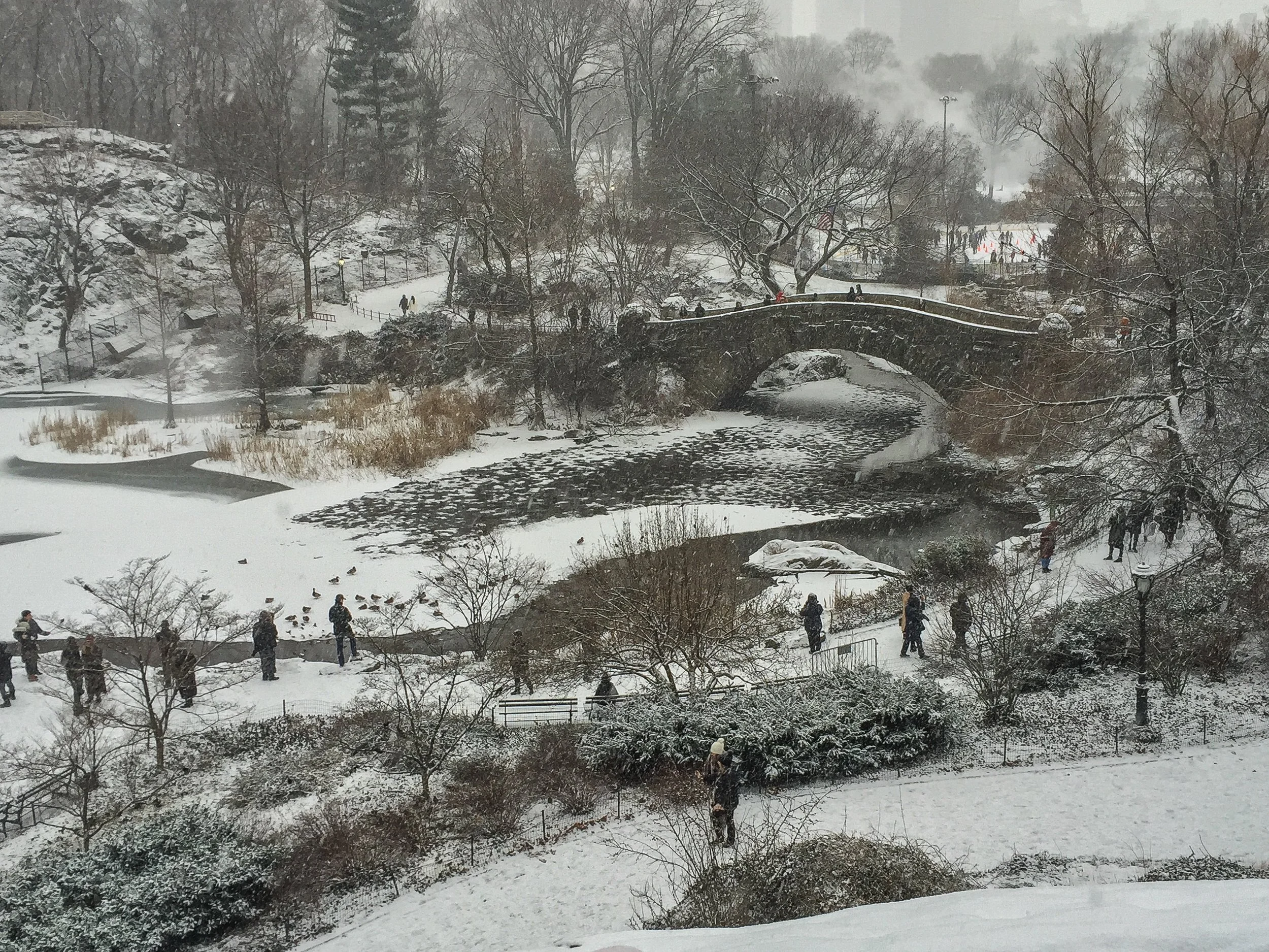 Central Park, New York City - 2017