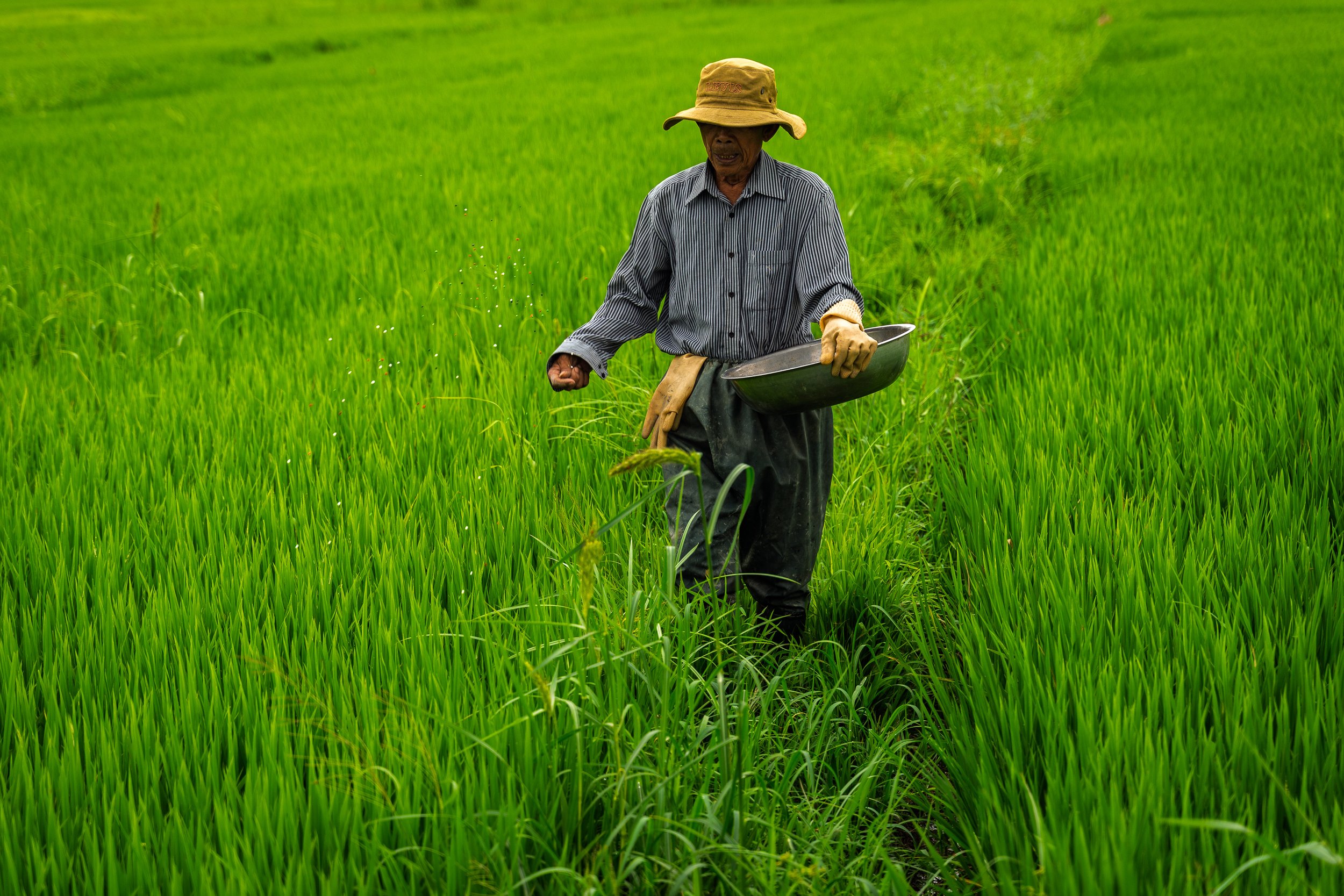 Hoi An, Vietnam - 2026