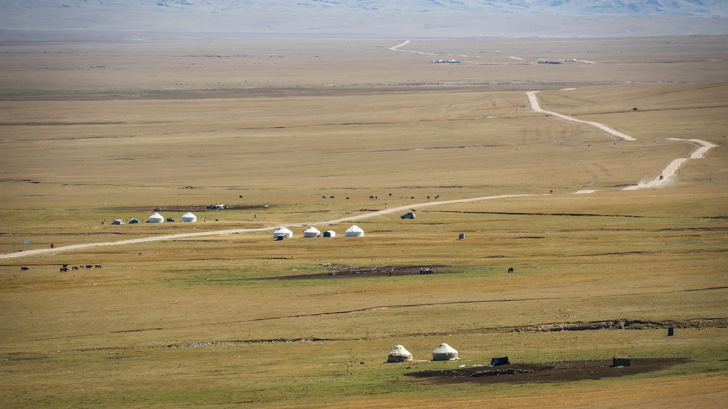 Yurts and herds of sheep, cattle and horses dot the landscape all over Son Kul during the summer months